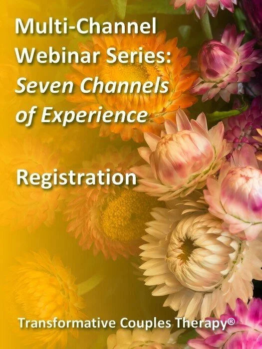 Registration - Multi-Channel Webinar Series: Seven Channels of Experience starts January 11, 2024