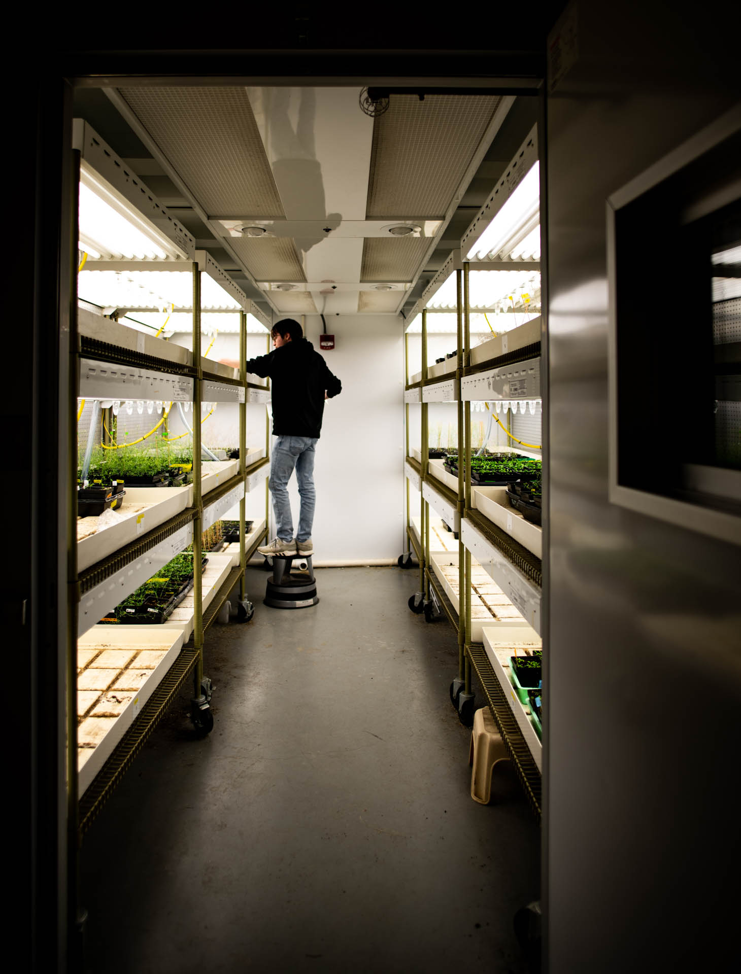   Sean Smith writes down his daily findings and notes on his plant growth in a lab in Porter Hall on Tuesday, April 16, 2019. Smith repeats this process everyday he works to document growth and other things found in his research. 