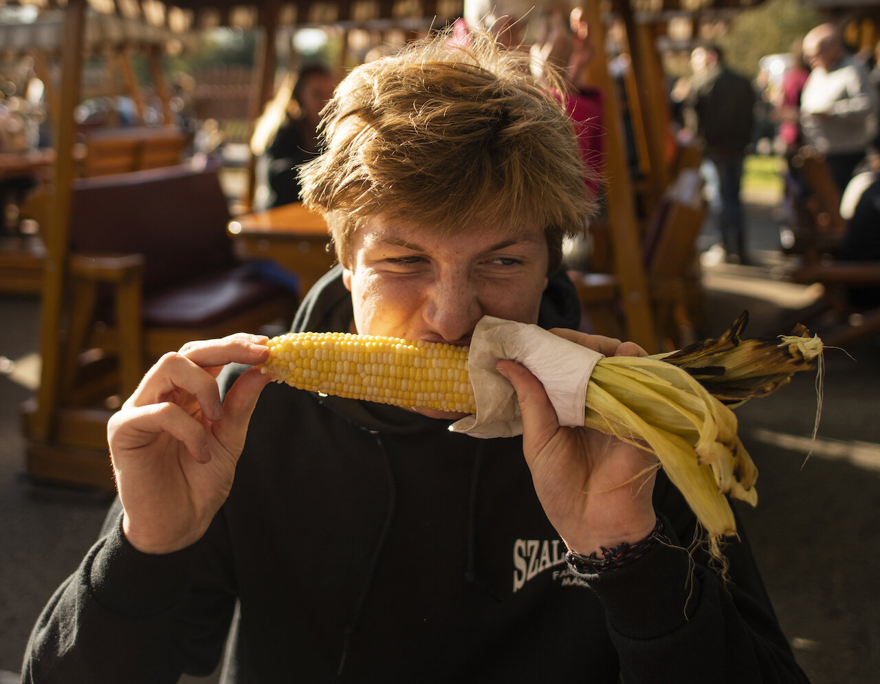  Ryan Graham eats steamed corn on the cob as Szalays Farm and Market where he goes every year to pick out his family’s pumpkins. 