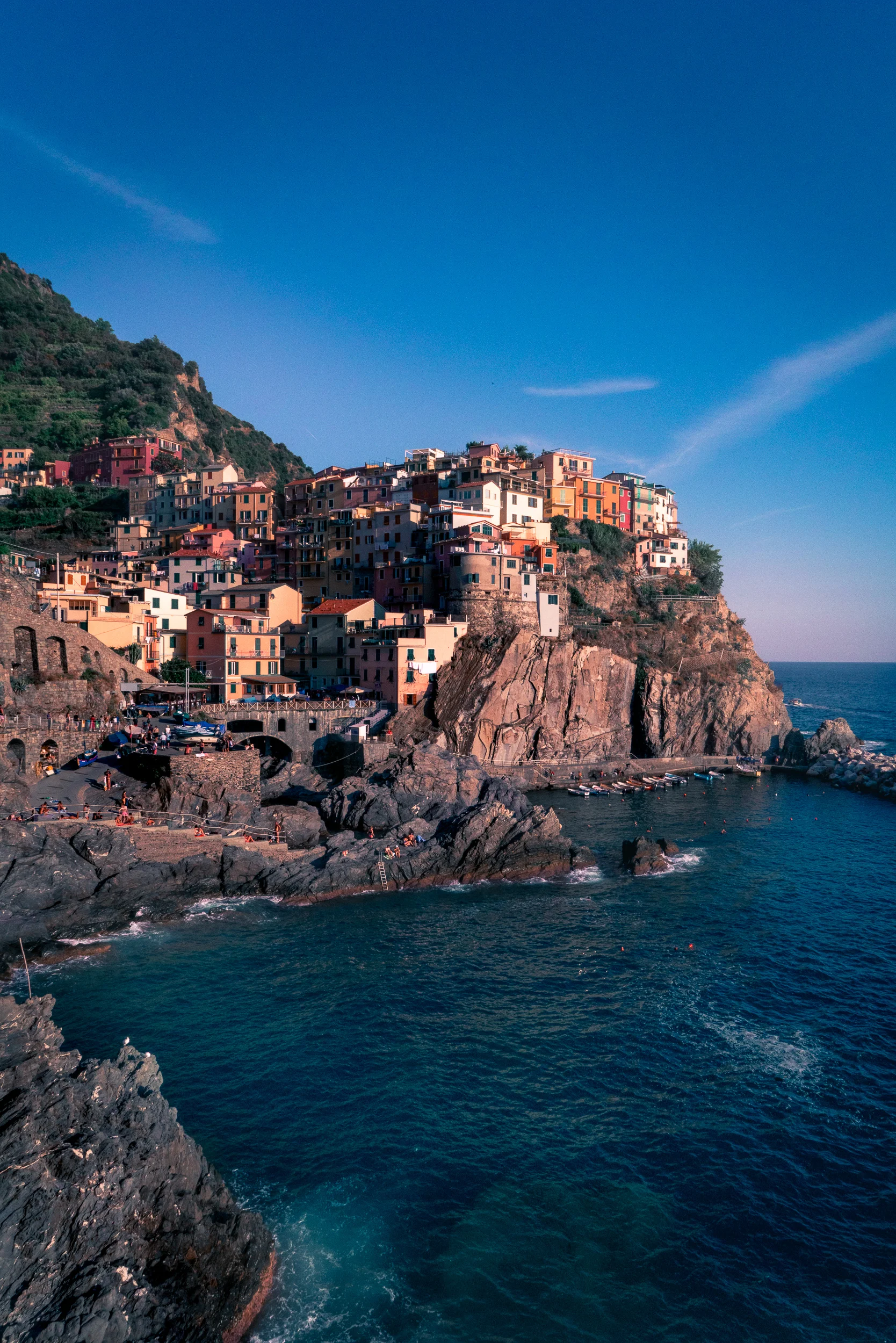 Lavanda Manarola