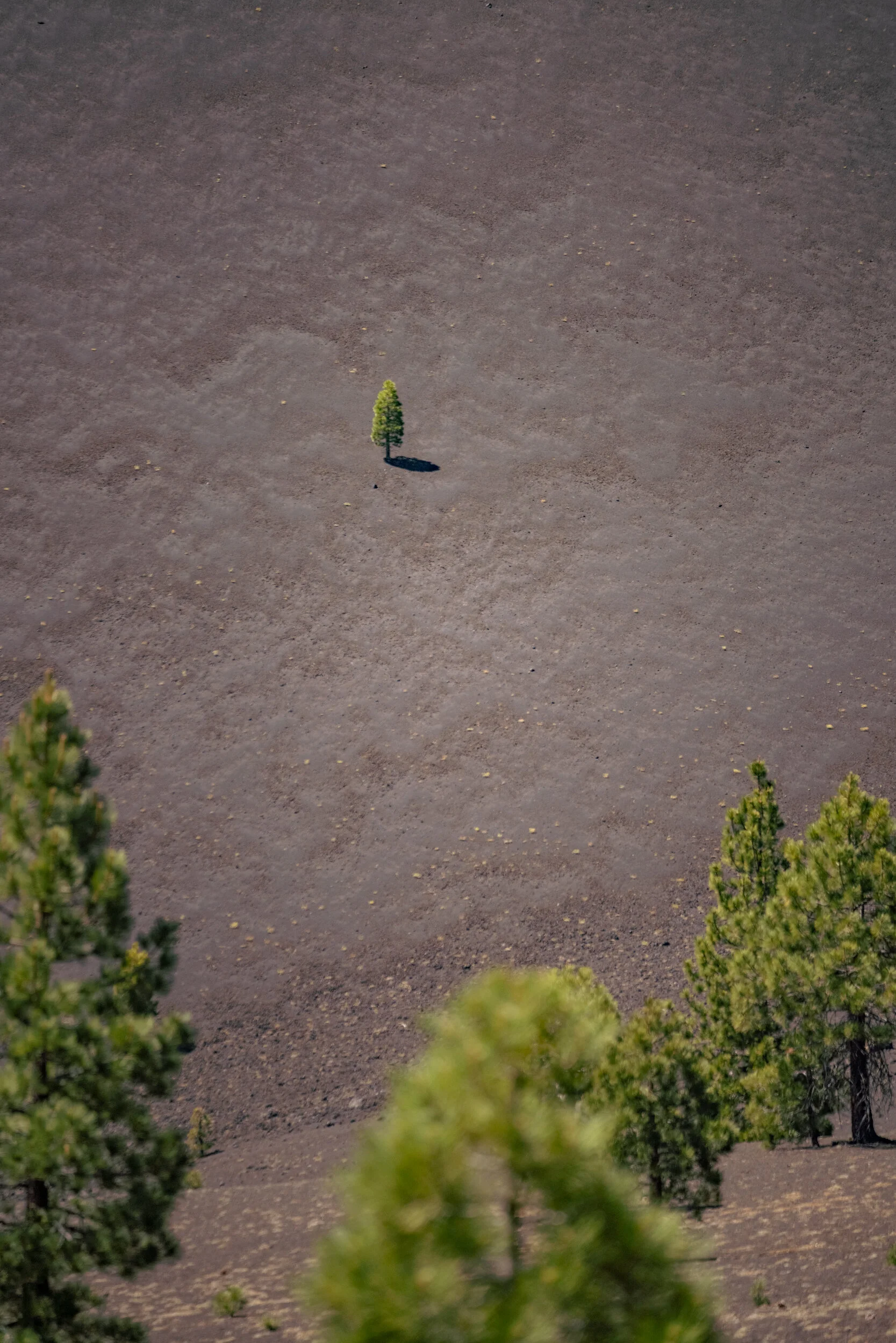RIV01250.jpg