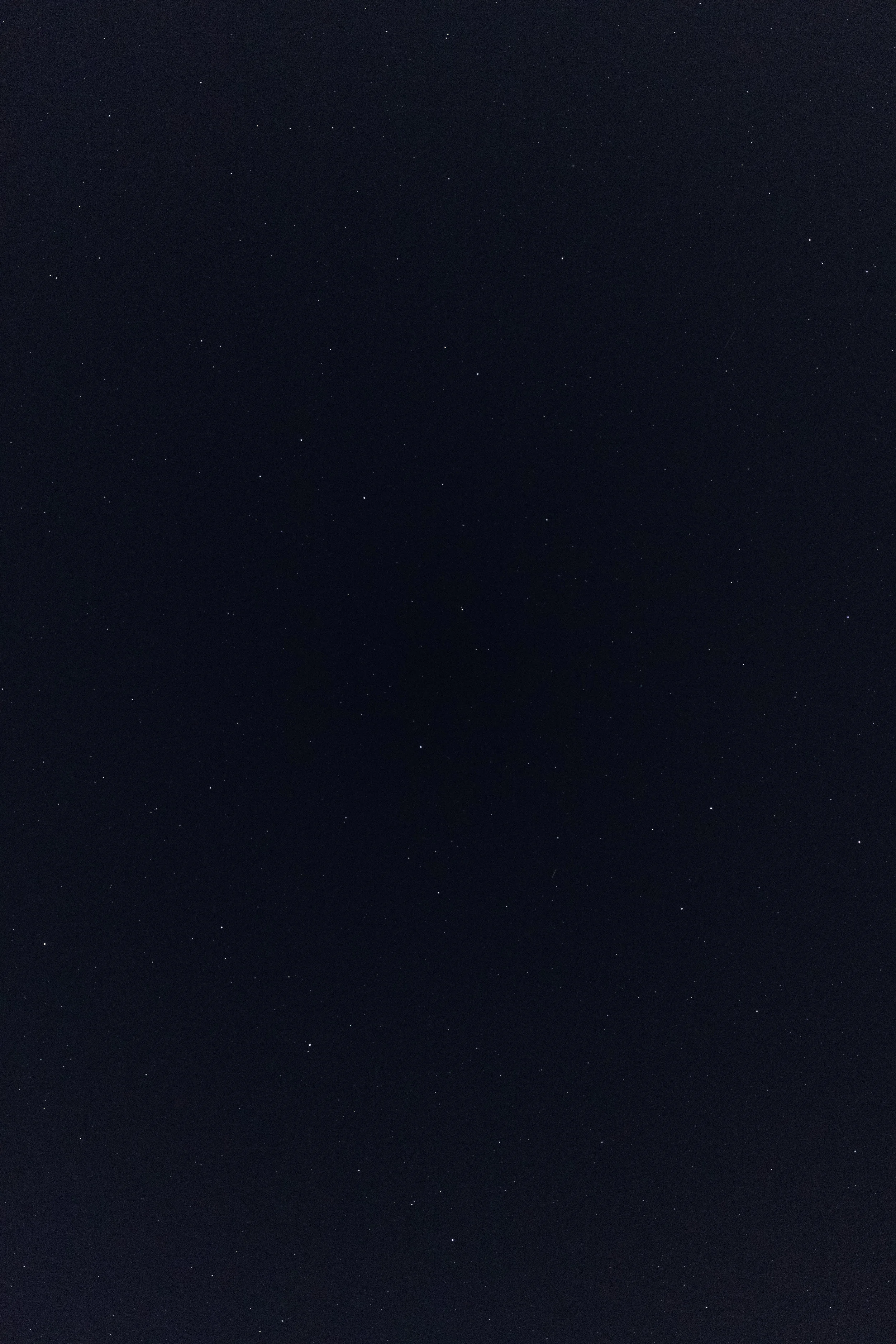 Speak Up. Speak Out. Pray.