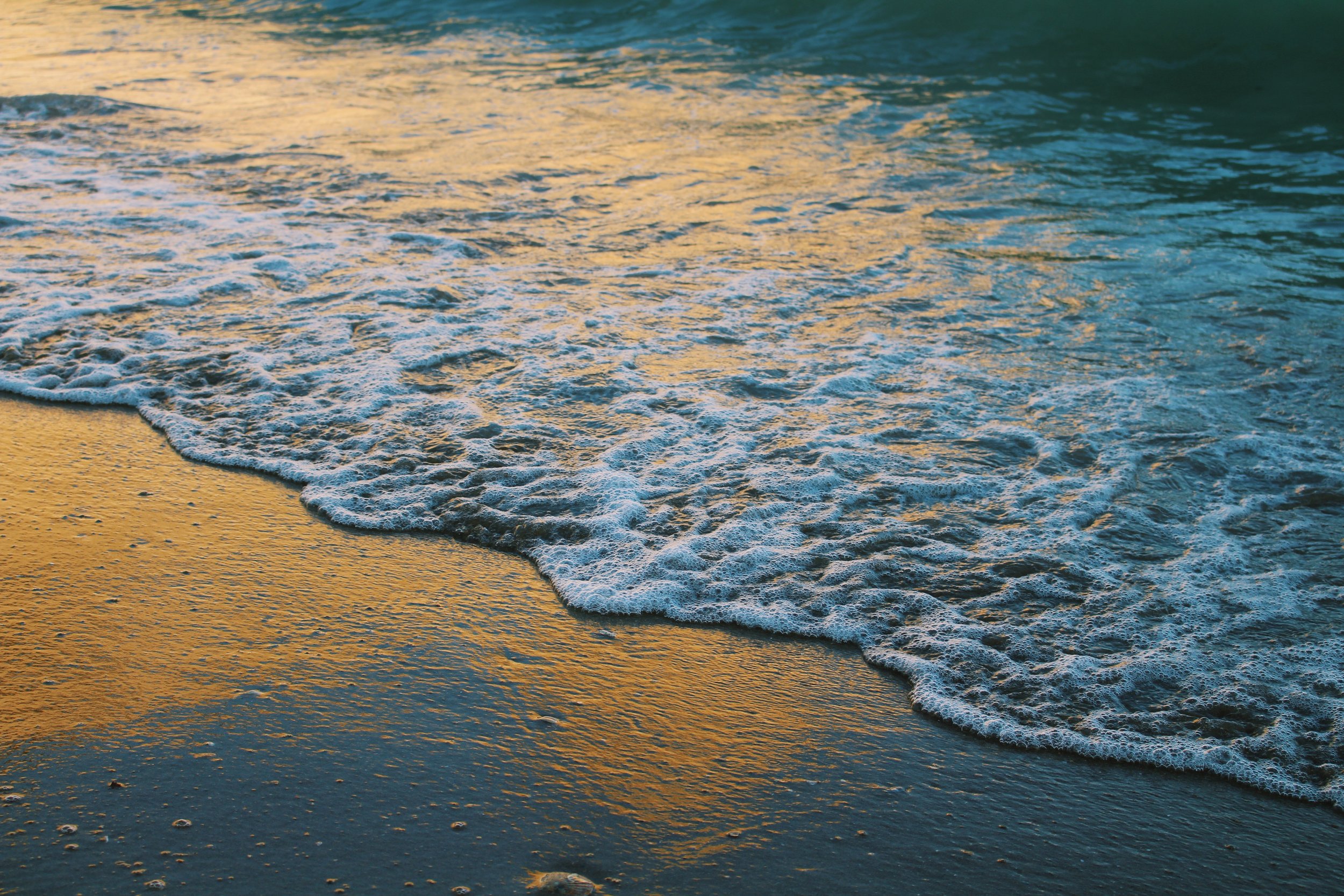 Weekly Pause &amp; Ponder 