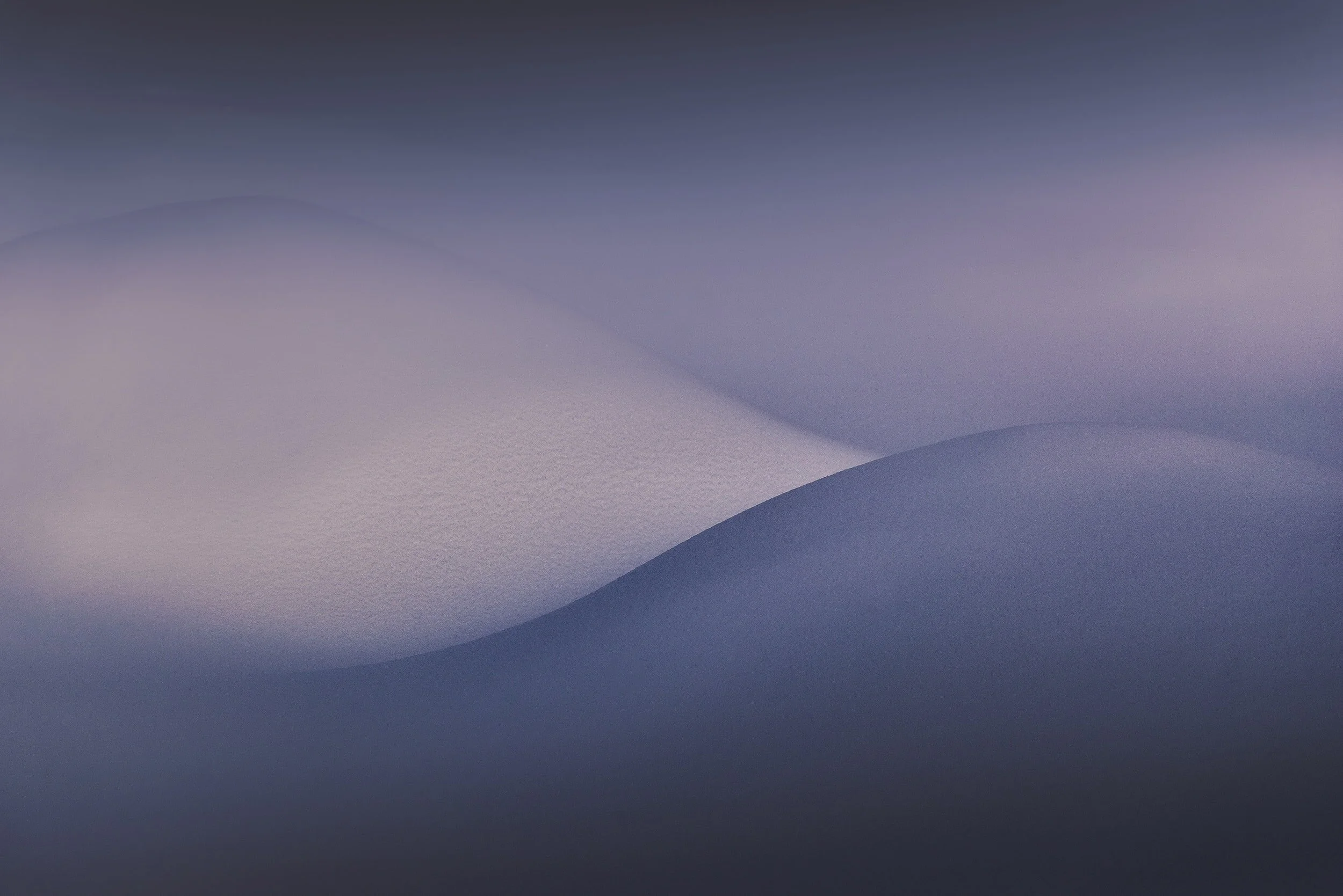 Weekly Pause and Ponder