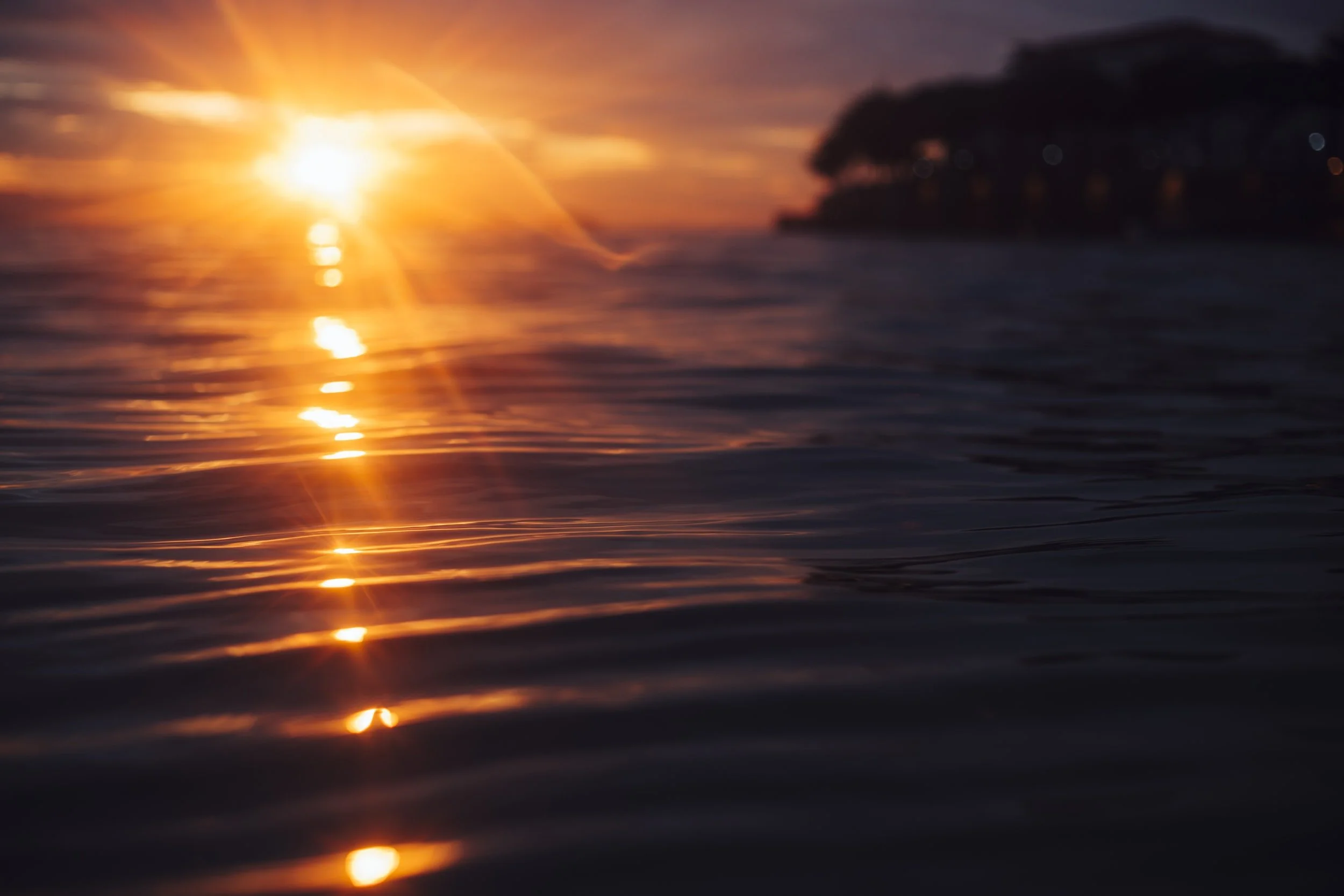 Weekly Pause and Ponder