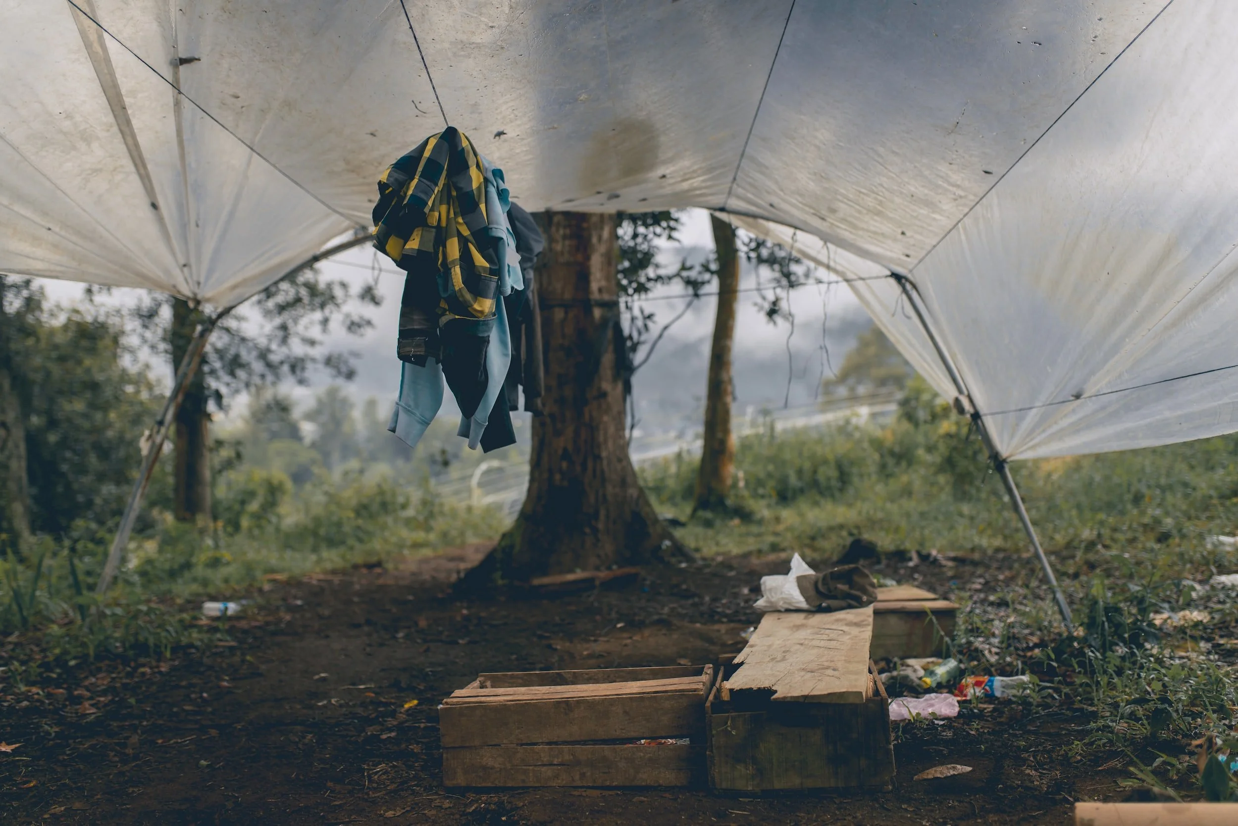 Safe Shelter