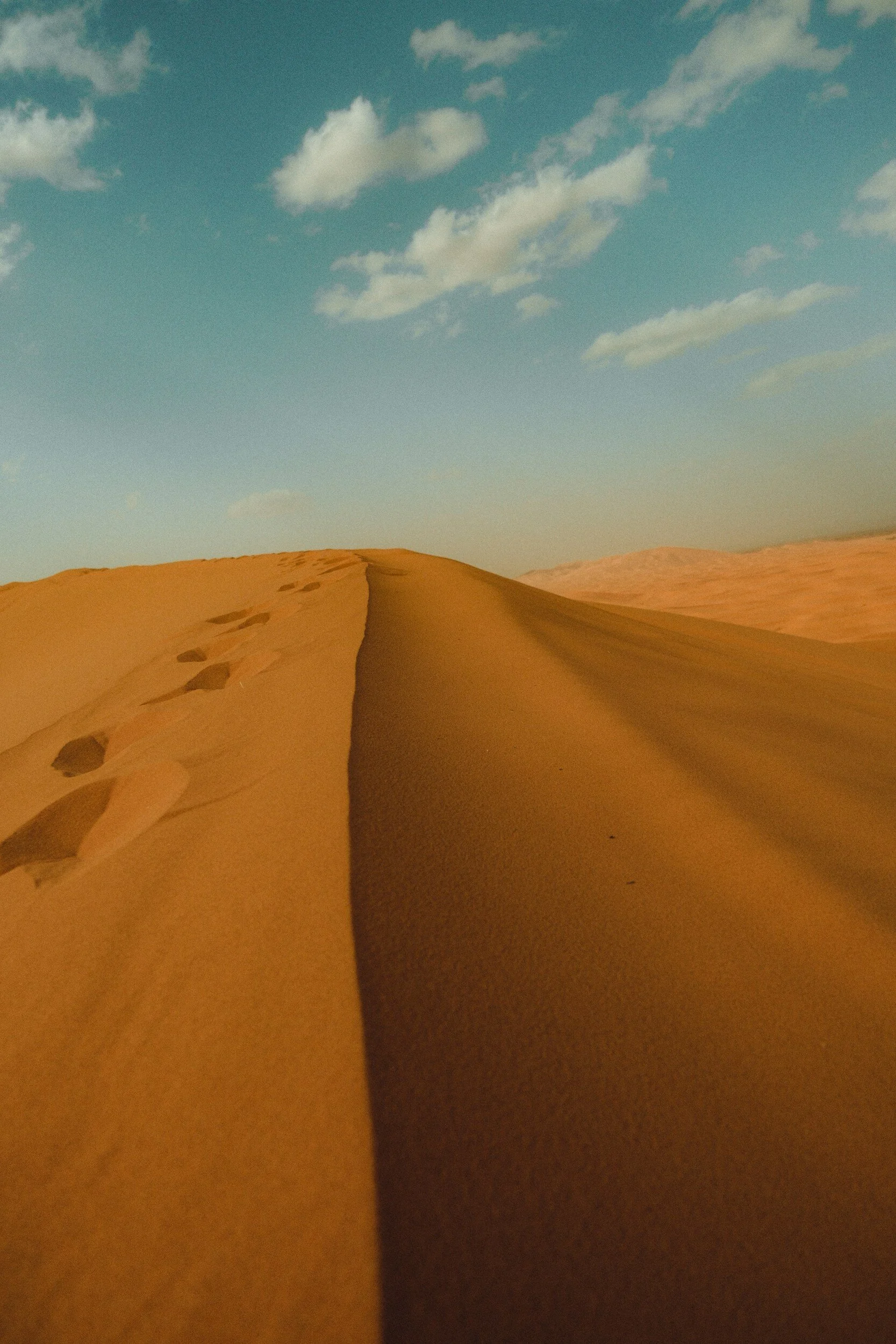 Weekly Pause and Ponder