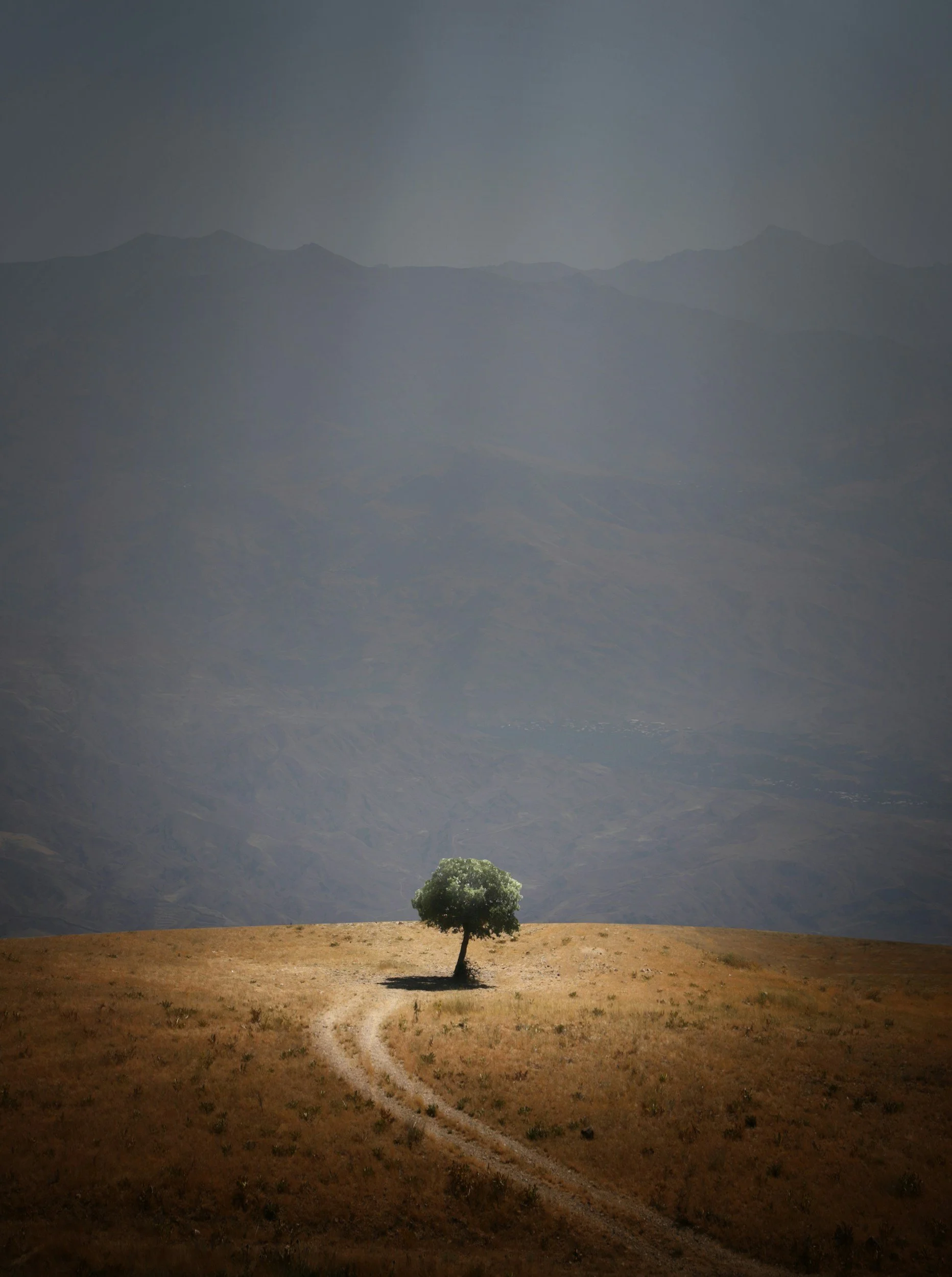 Weekly Pause and Ponder