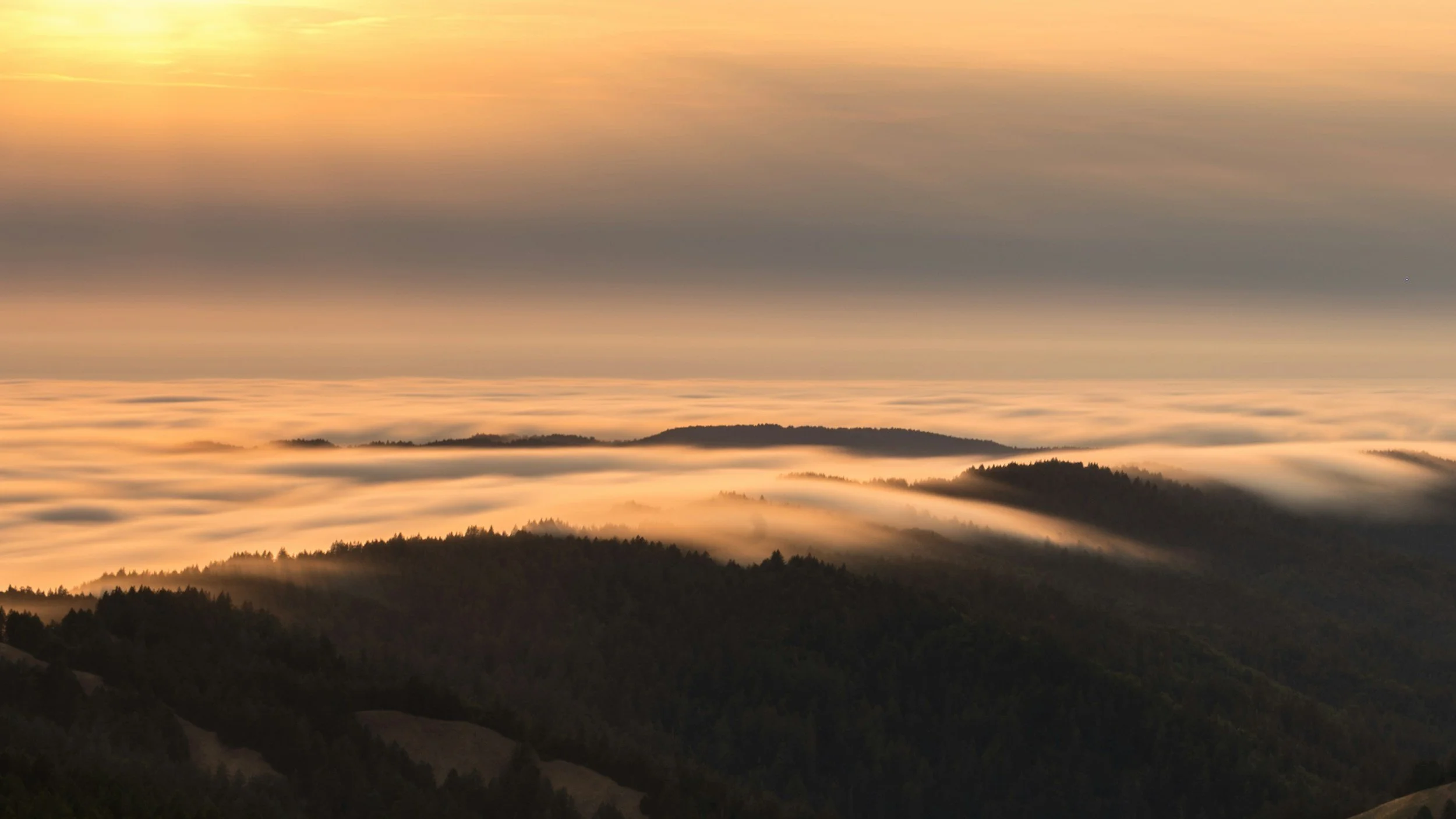 As Morning Breaks...