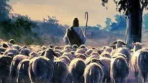 Shepherding Today