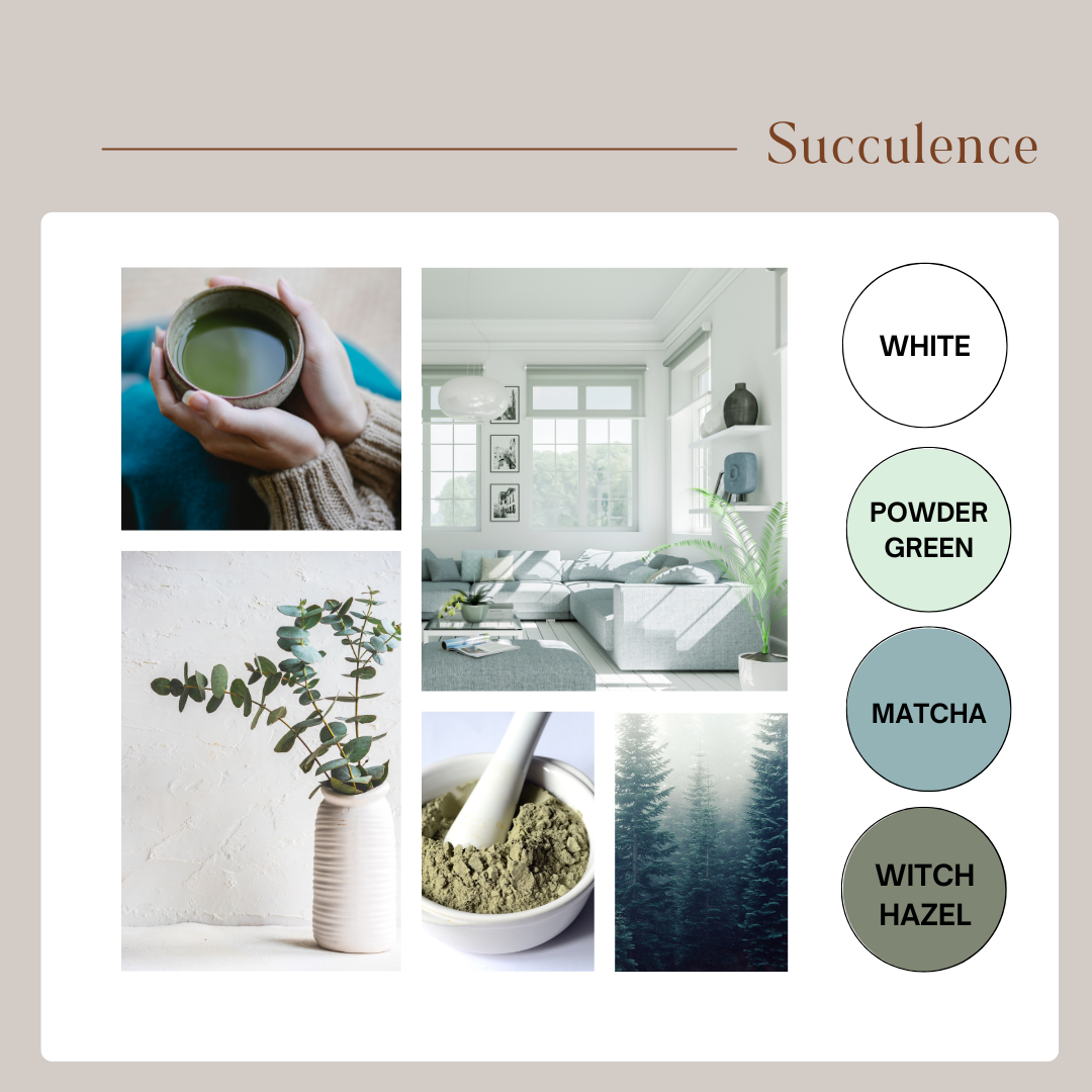 Succulence COLOUR PALETTE.png