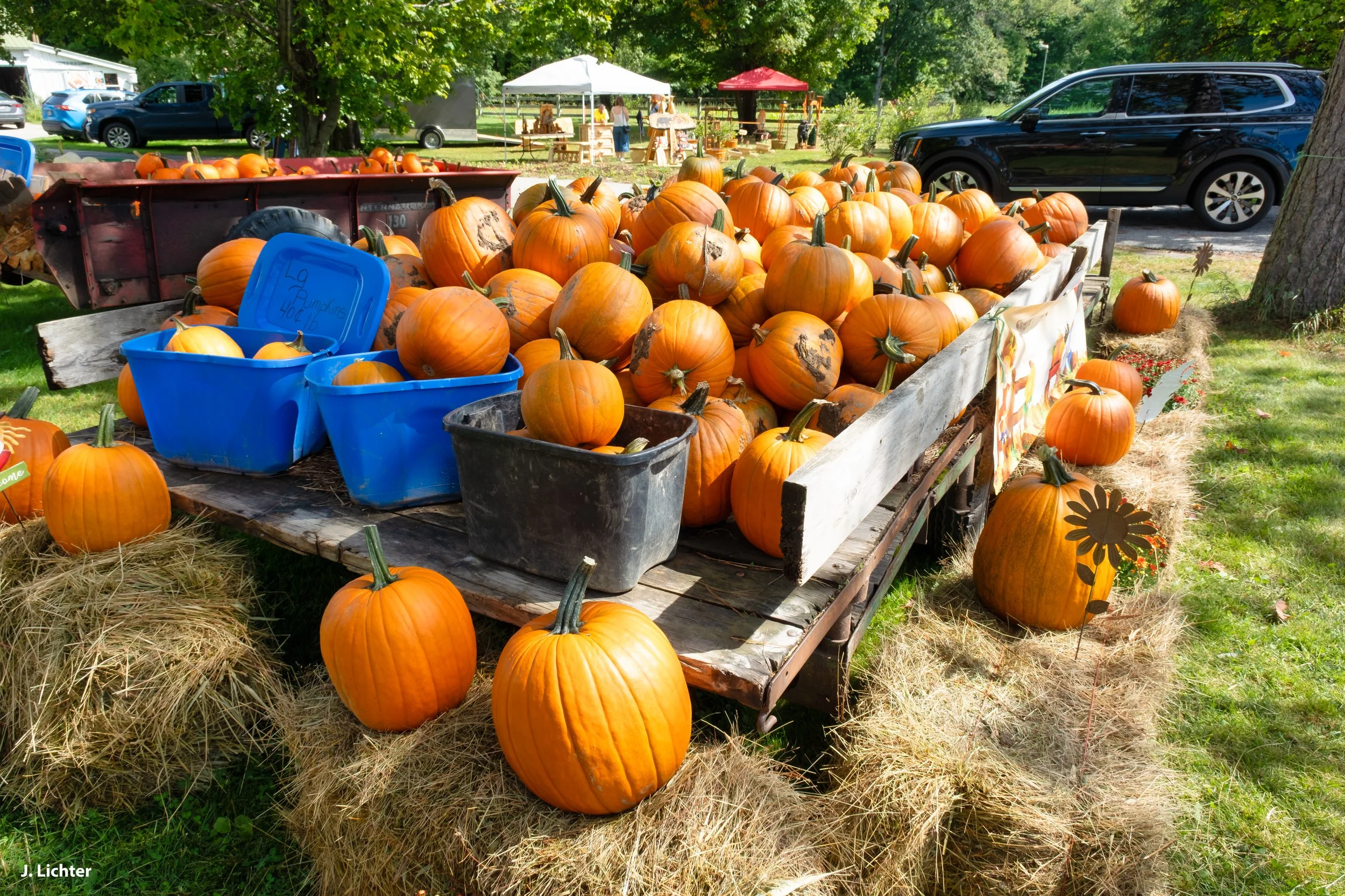Swain Family Farm.  Bethel, Maine. 