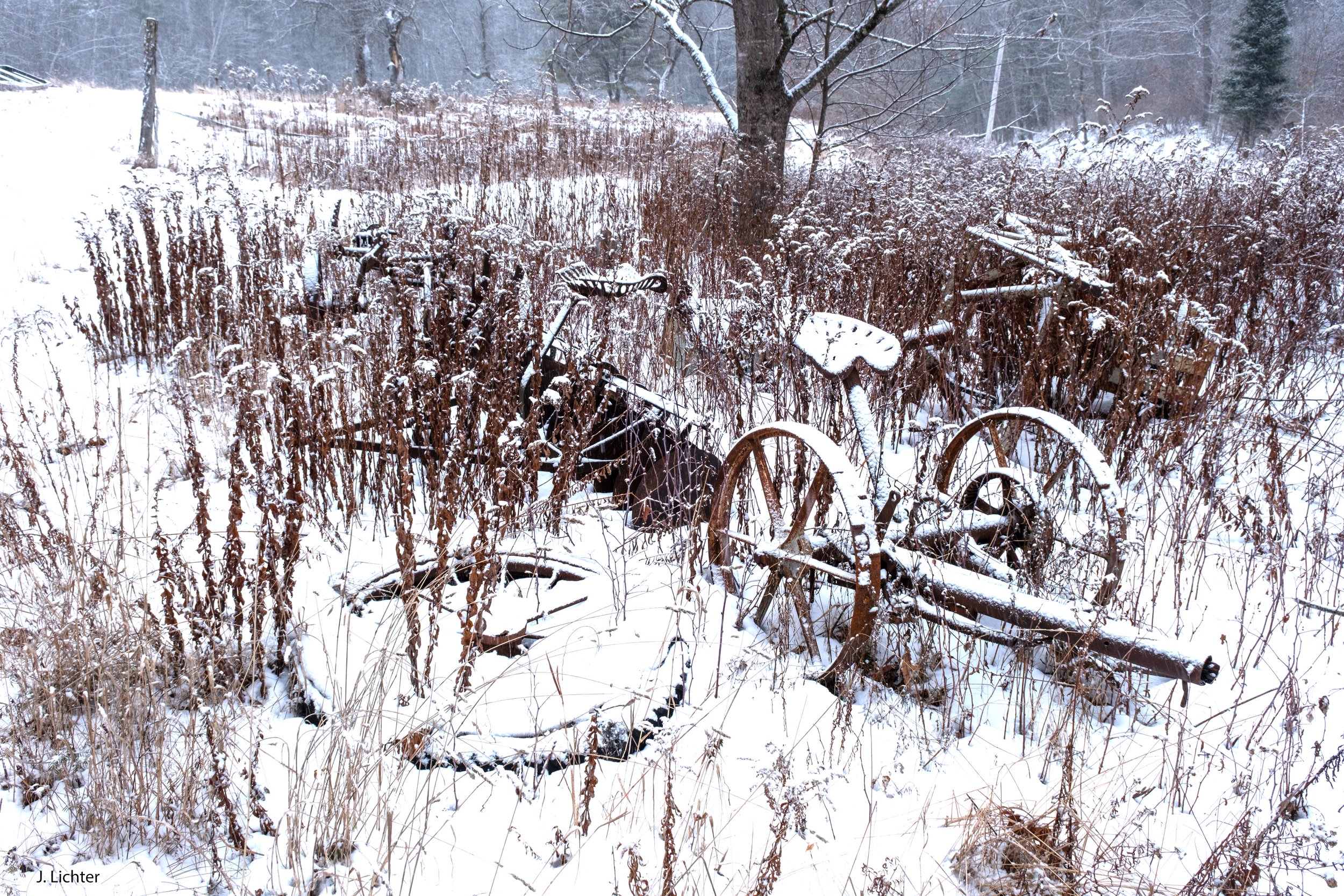 Old farm machinery/Goldenrods.  Topsham, Maine.