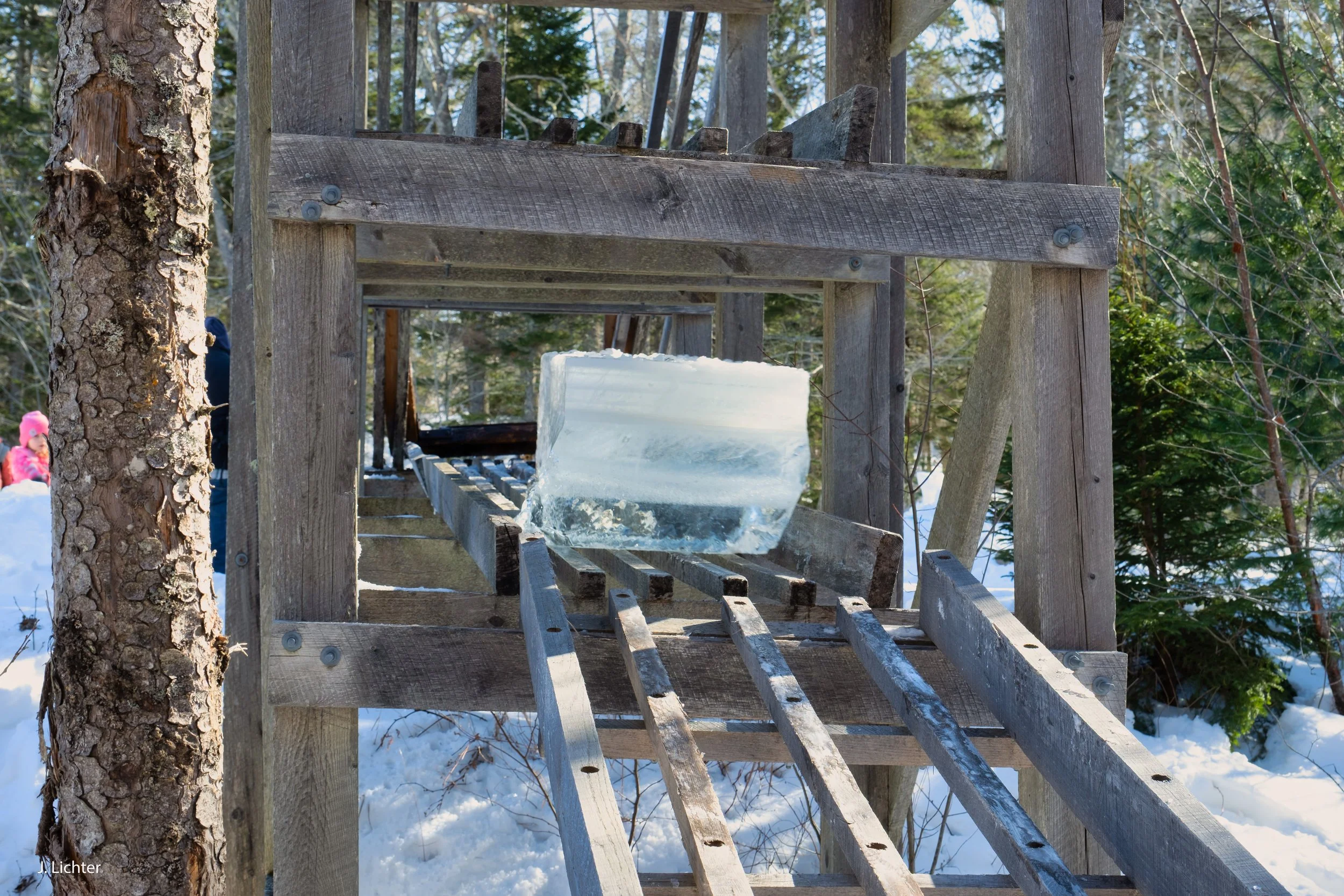 Ice harvest.  West Bristol, Maine.