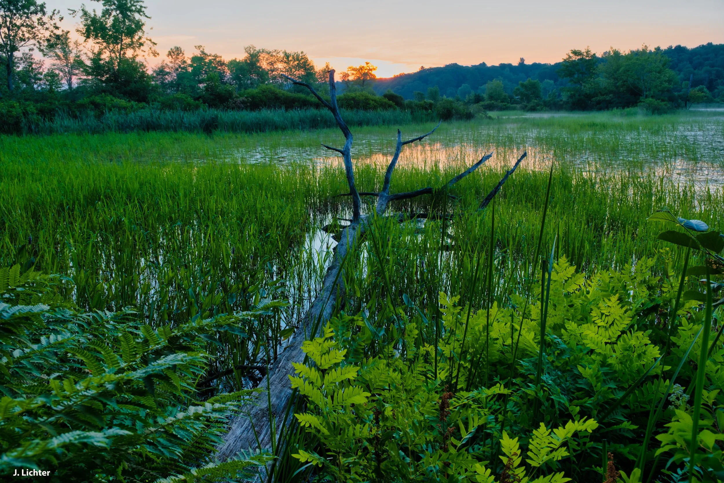 Upper Pleasant Pond.  Litchfield, Maine.
