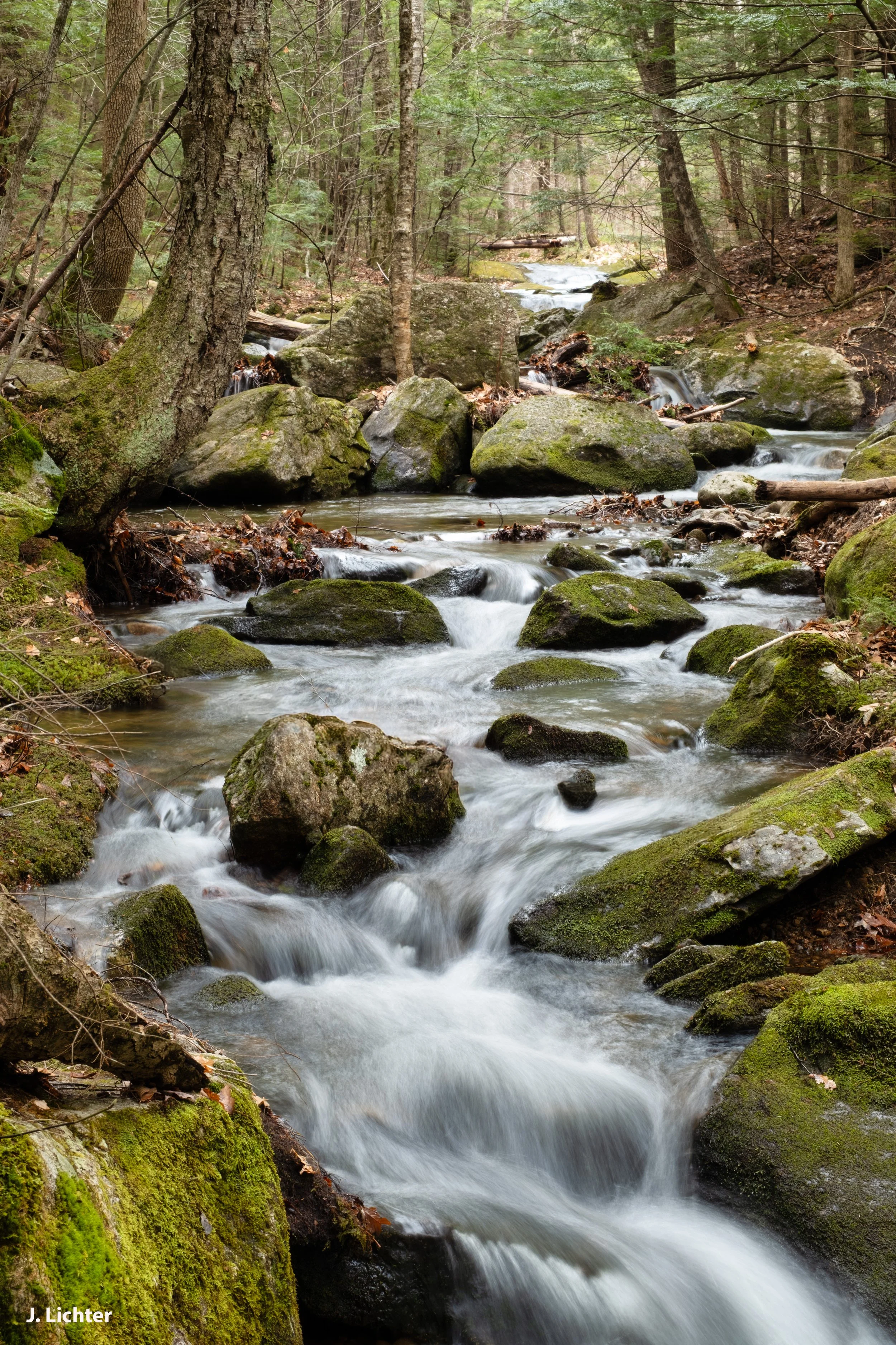 Long Mountain Trail.  South of Bethel, Maine.