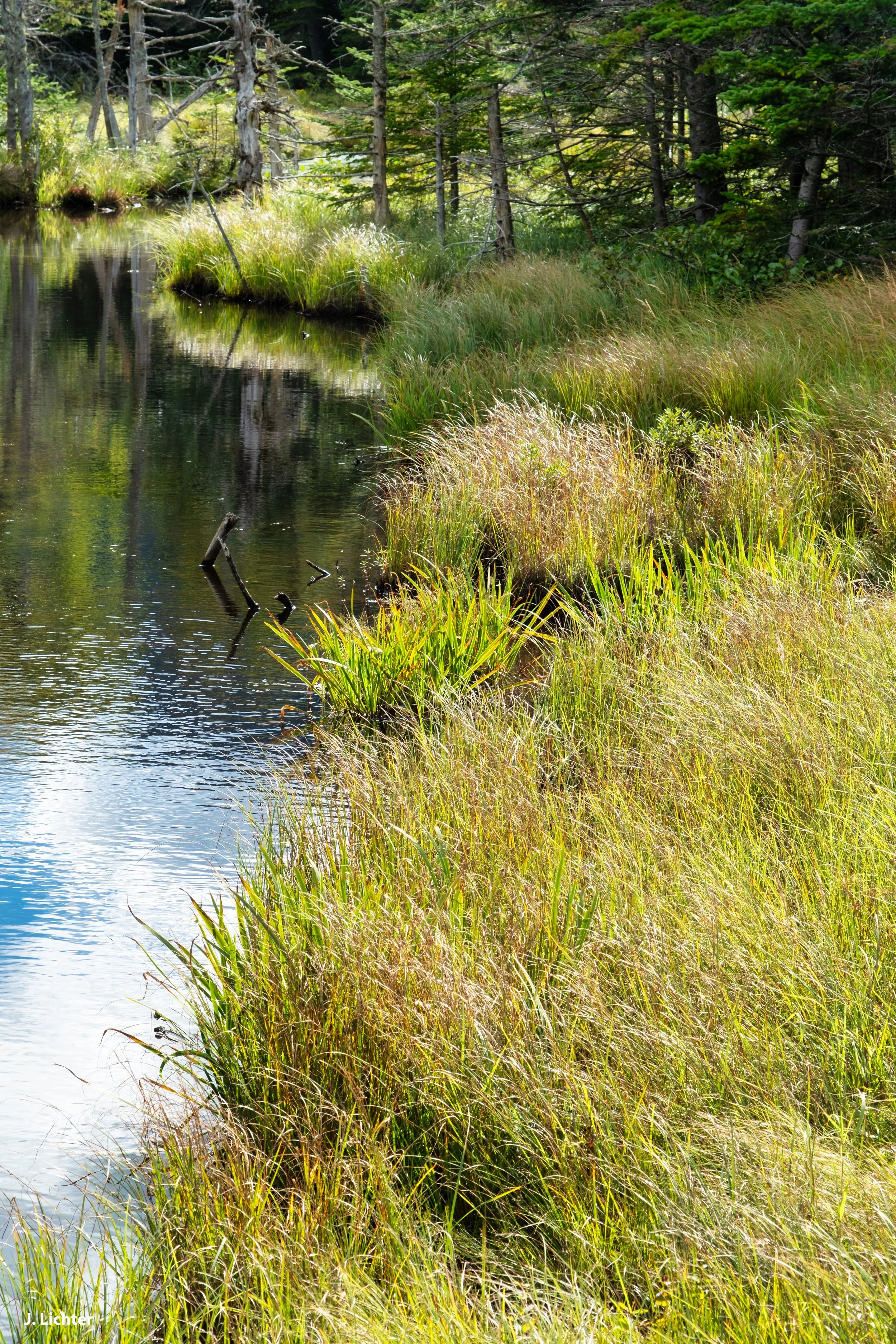 Ellis River.  Pinkham Notch, New Hampshire. 