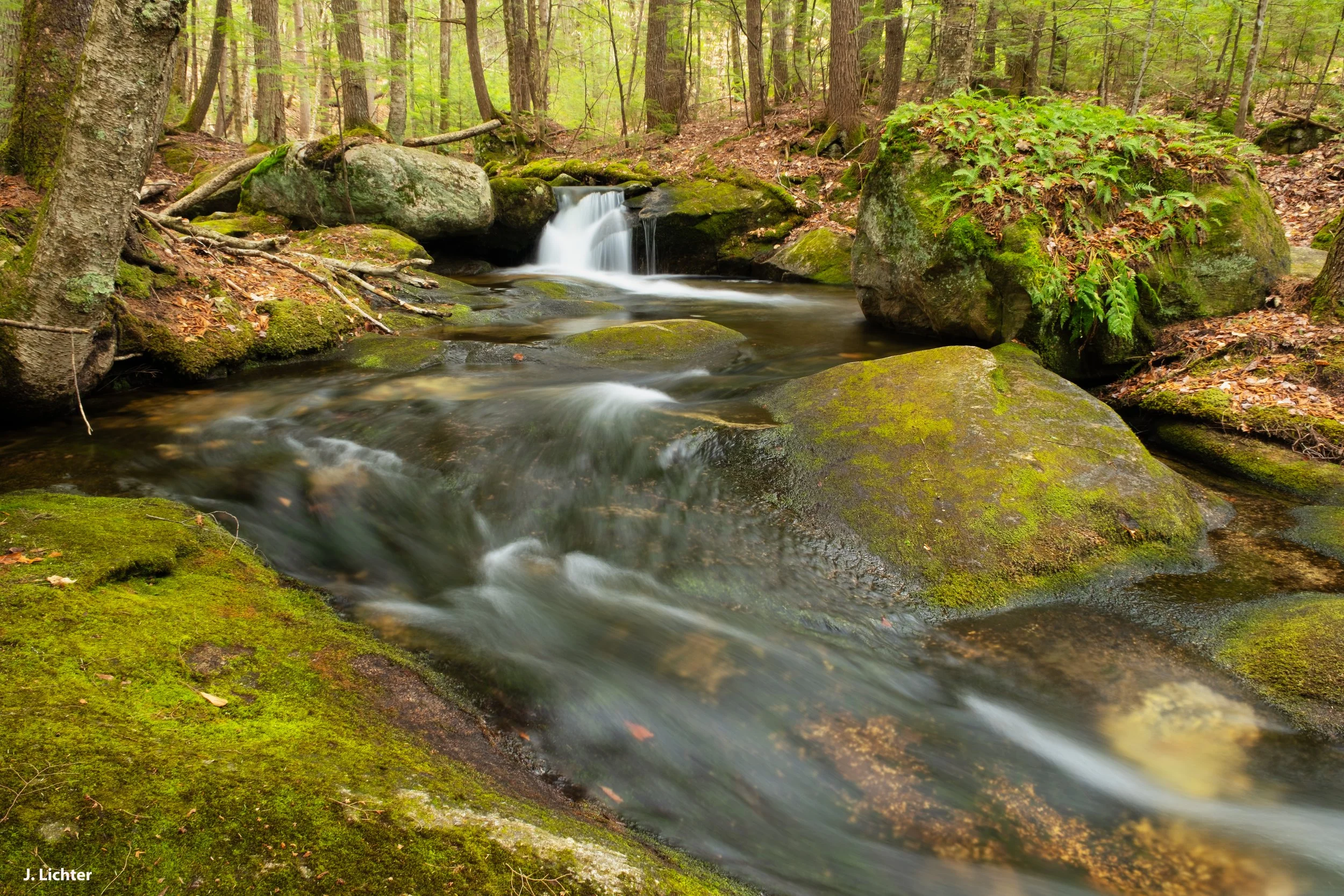 Long Mountain Trail.  South of Bethel, Maine.
