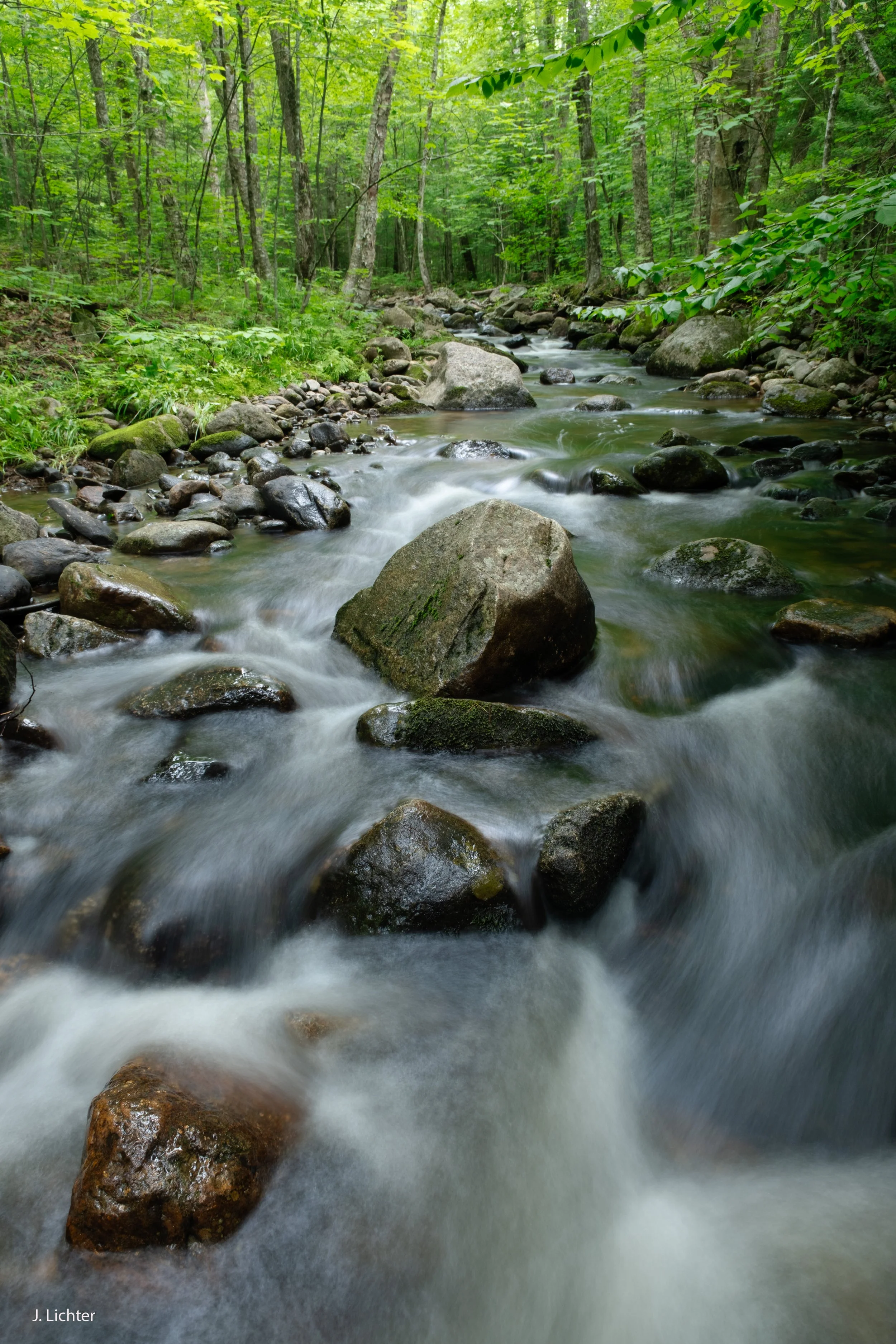 Swett Brook.  Weld, Maine. 