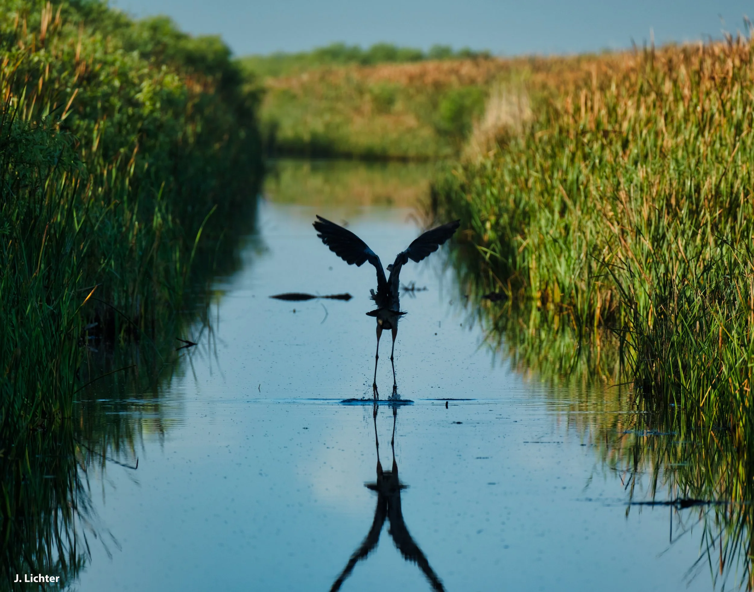 Florida 2026-104.jpg