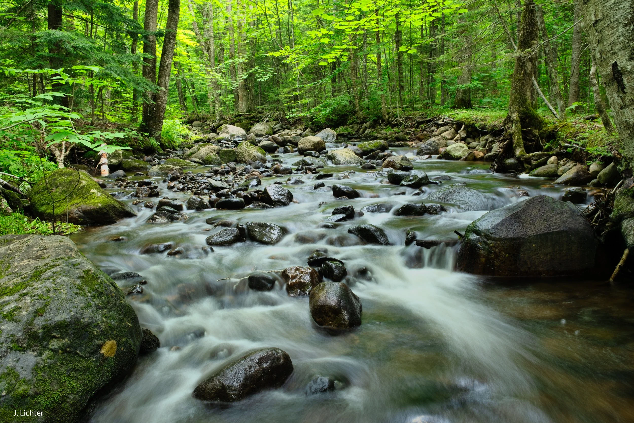 Swett Brook.  Weld, Maine. 