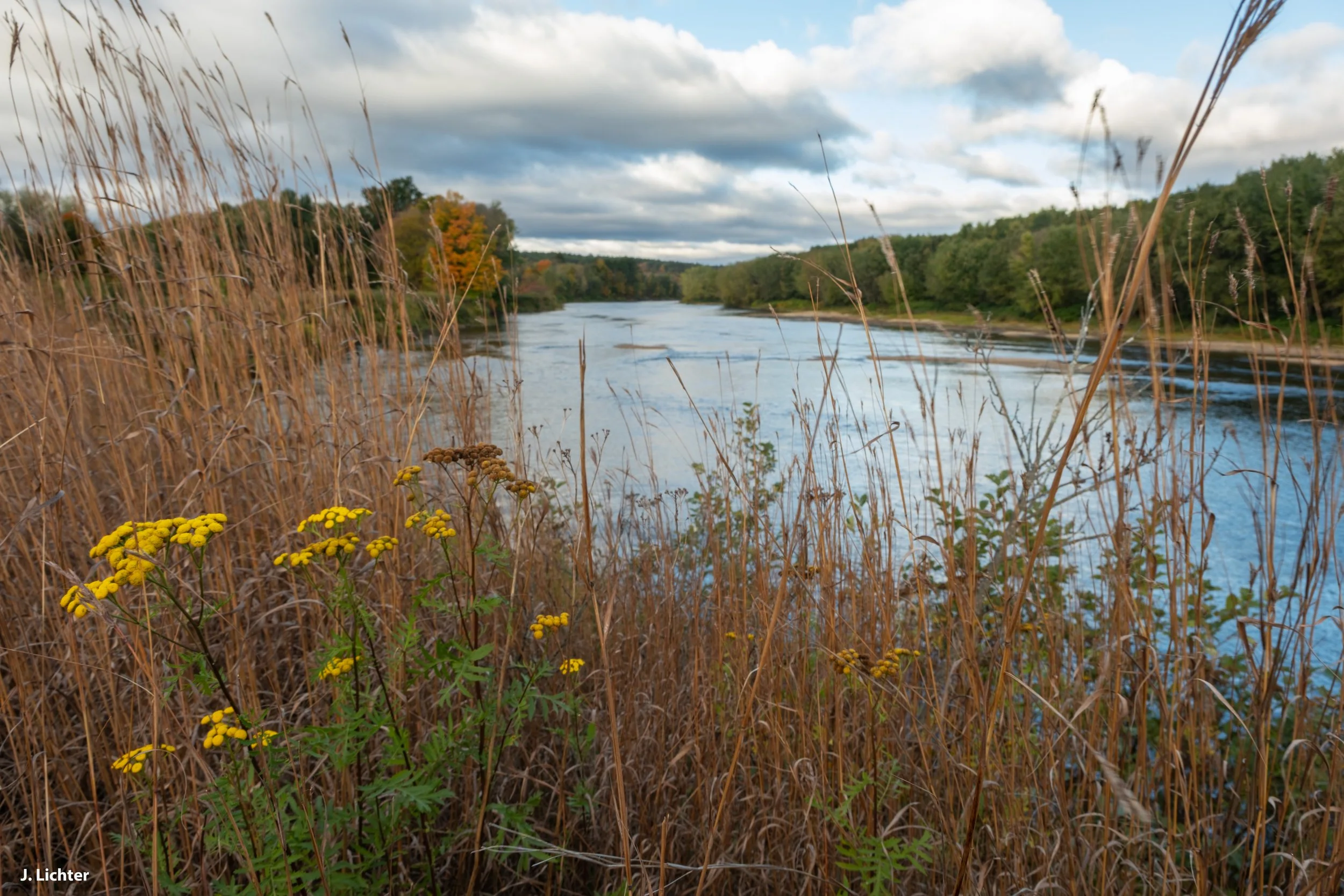 Swain Family Farm.  Bethel, Maine.