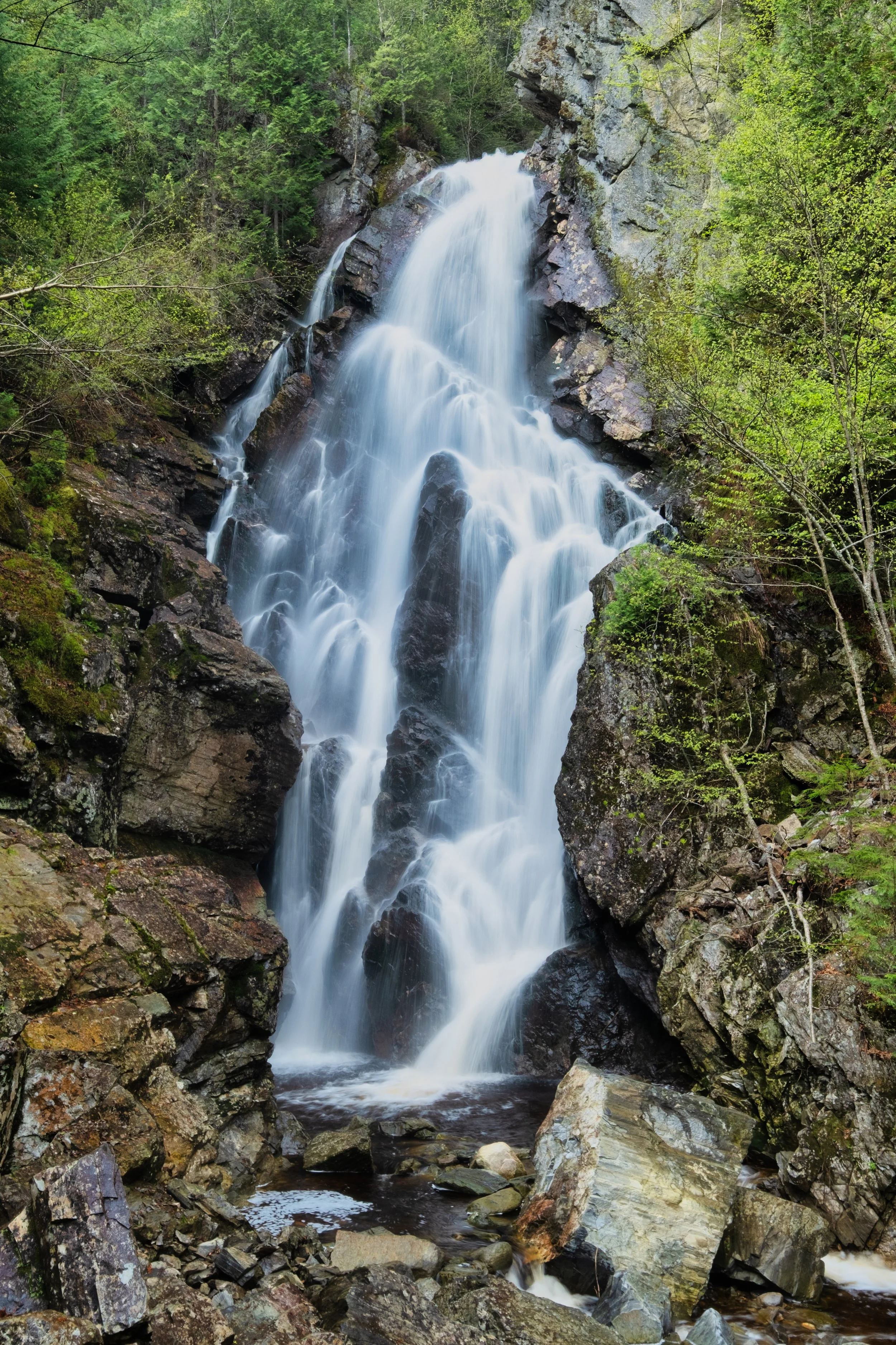 4-Angel Falls 2025-3.jpg