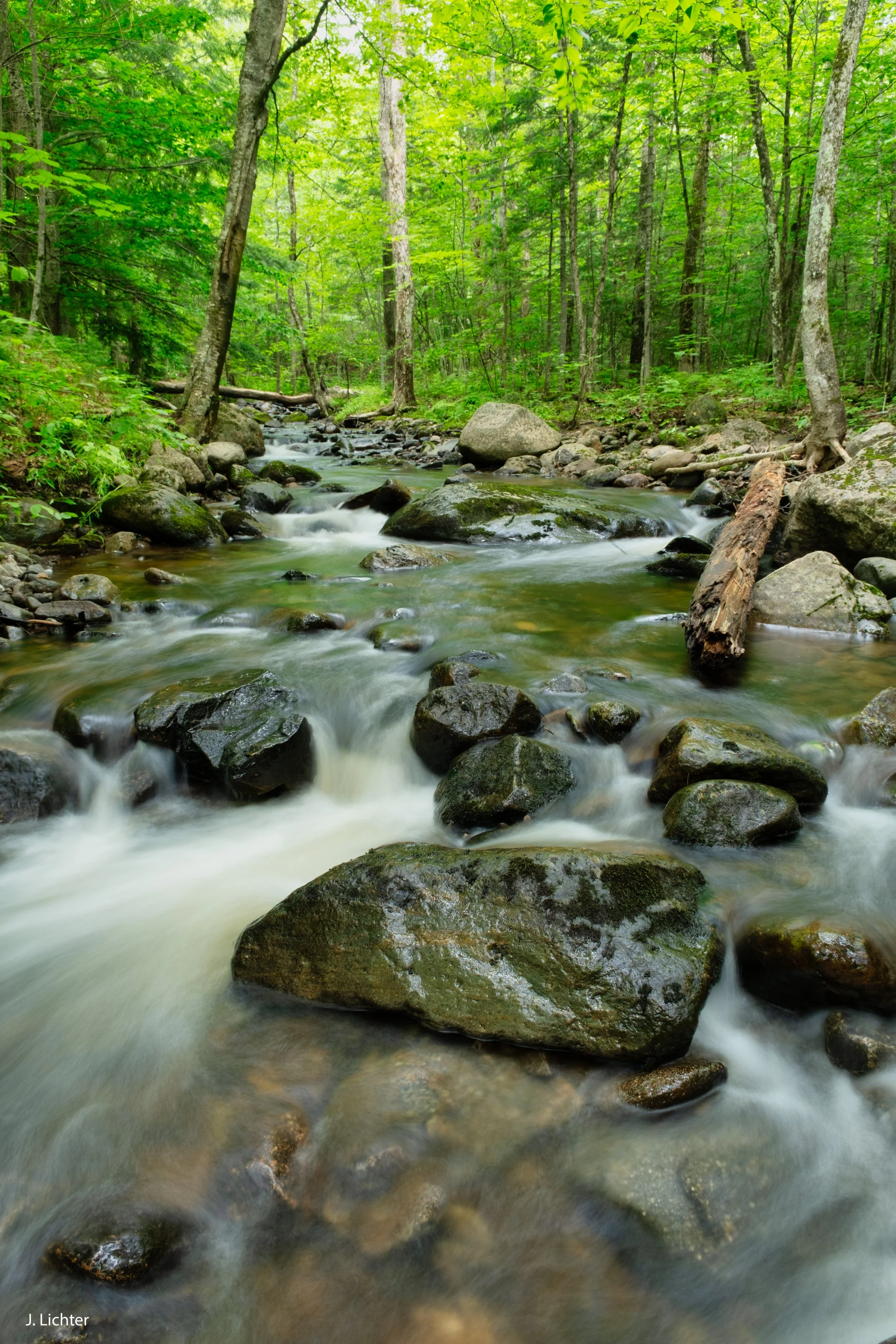 Swett Brook.  Weld, Maine. 
