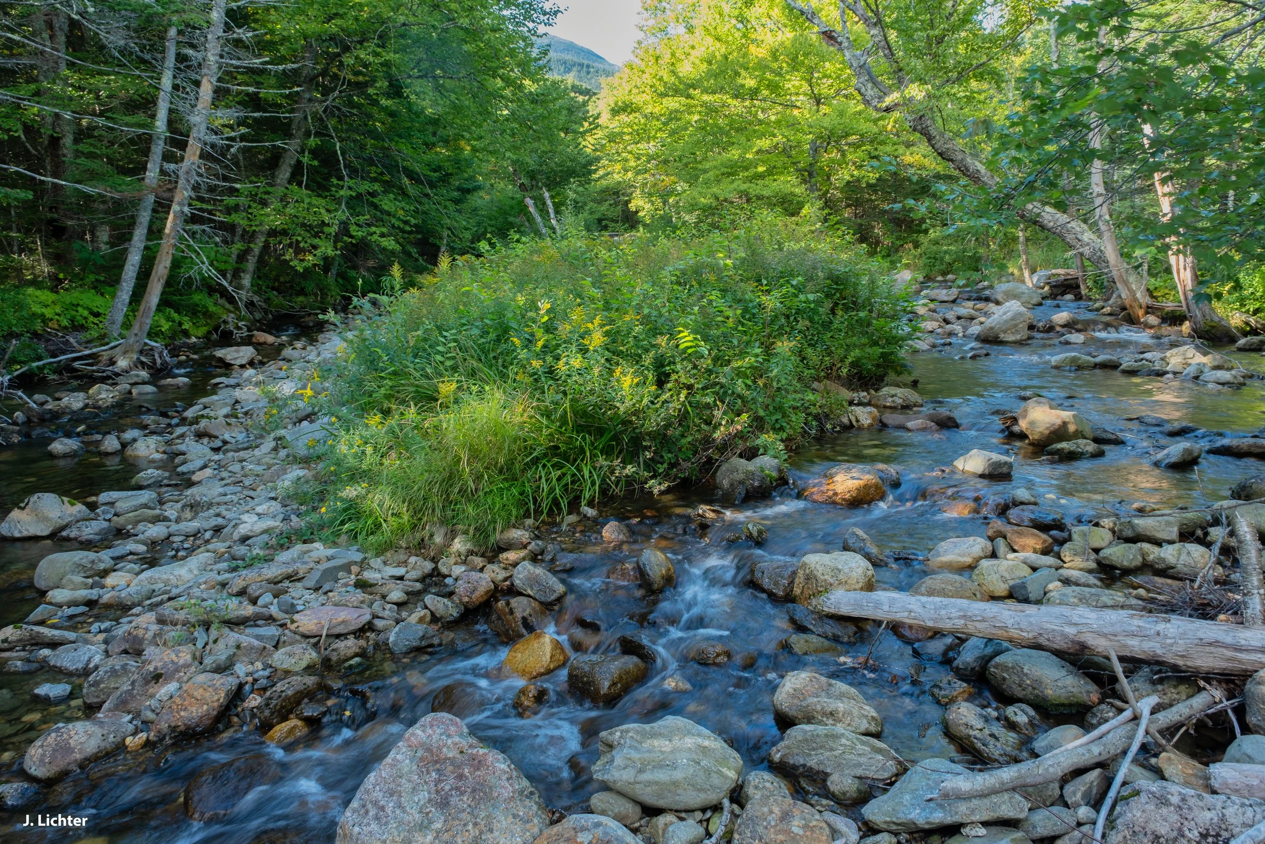 Cutler River.  Pinkham Notch, New Hampshire.