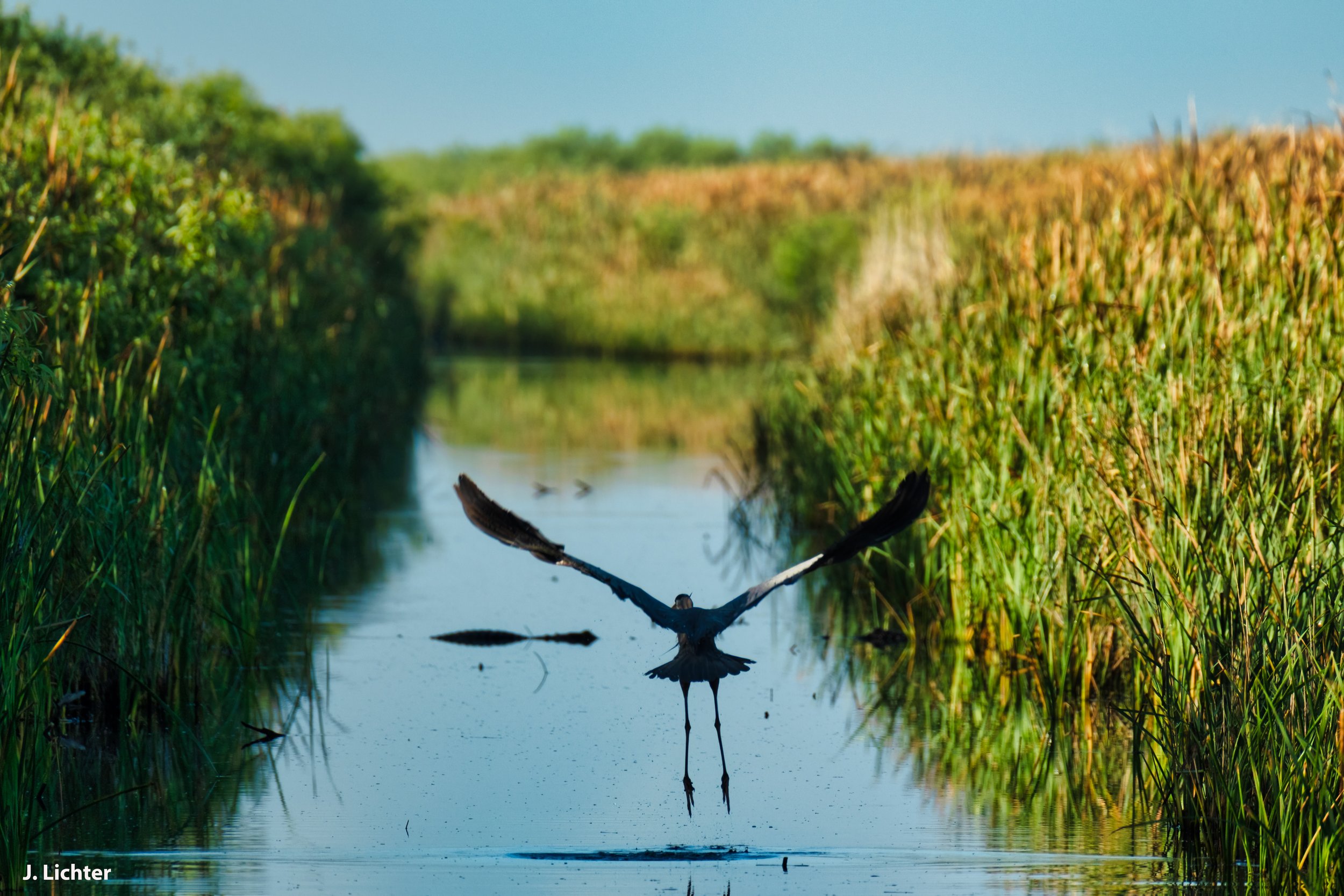 Florida 2026-107.jpg