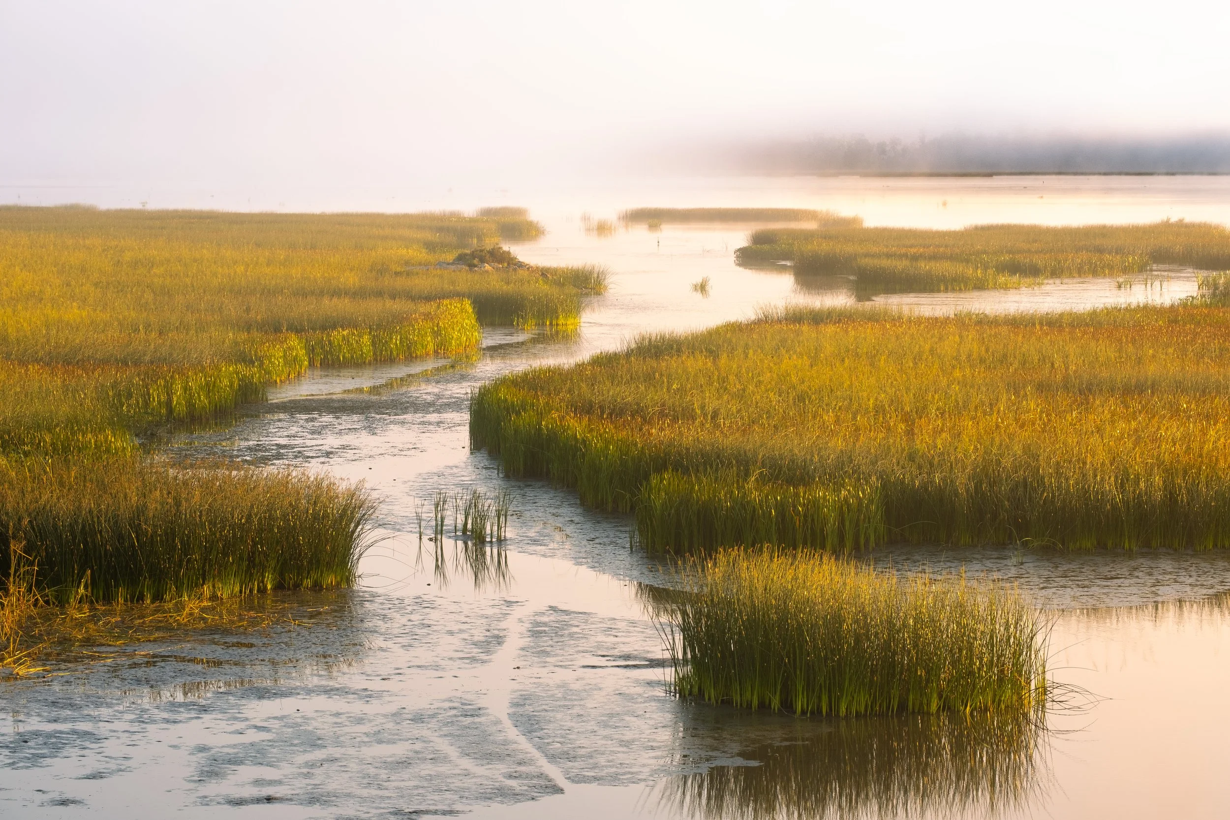 Merrymeeting Bay.  Topsham-Bowdoinham. 
