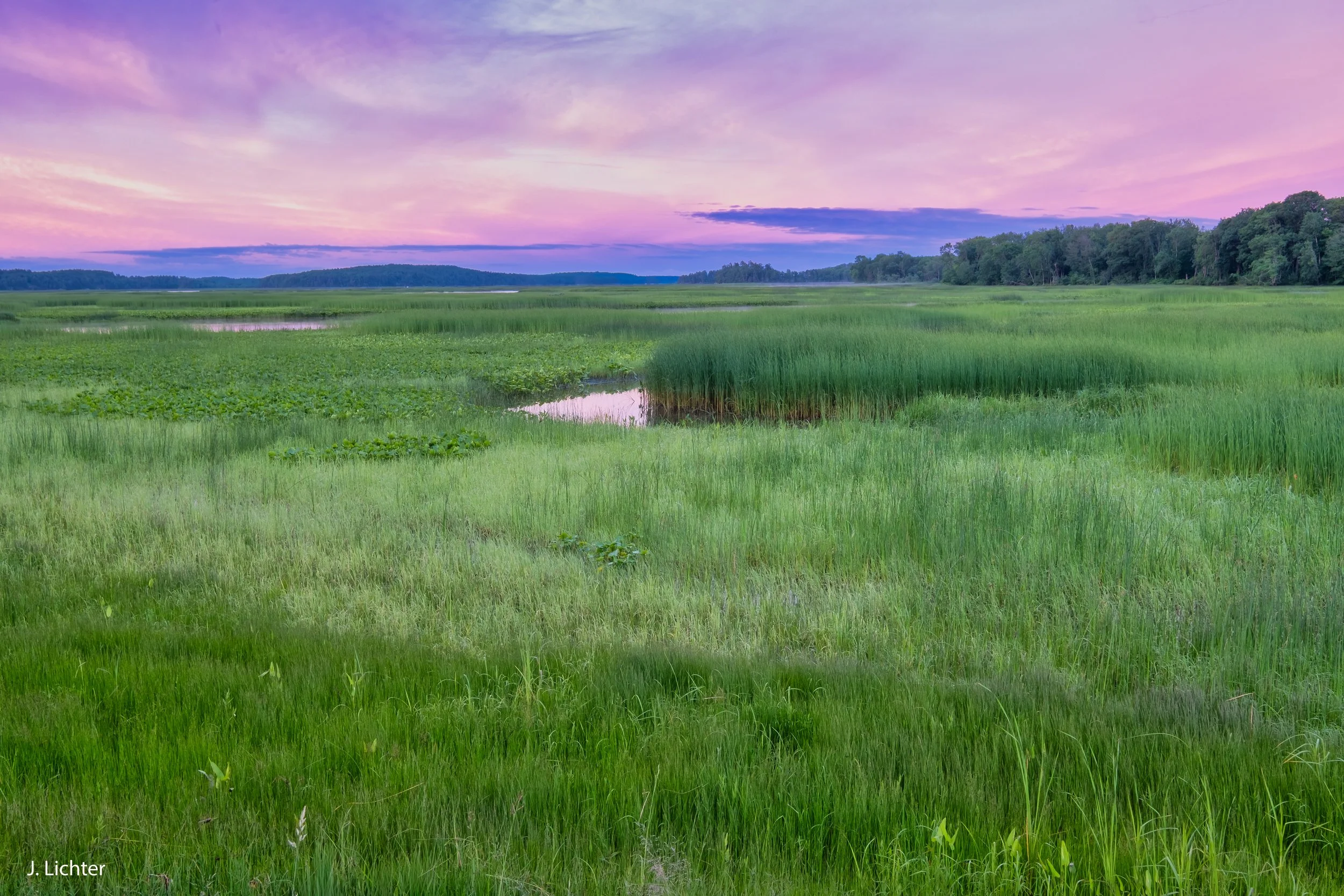 Merrymeeting Bay.  Bowdoinham, Maine.