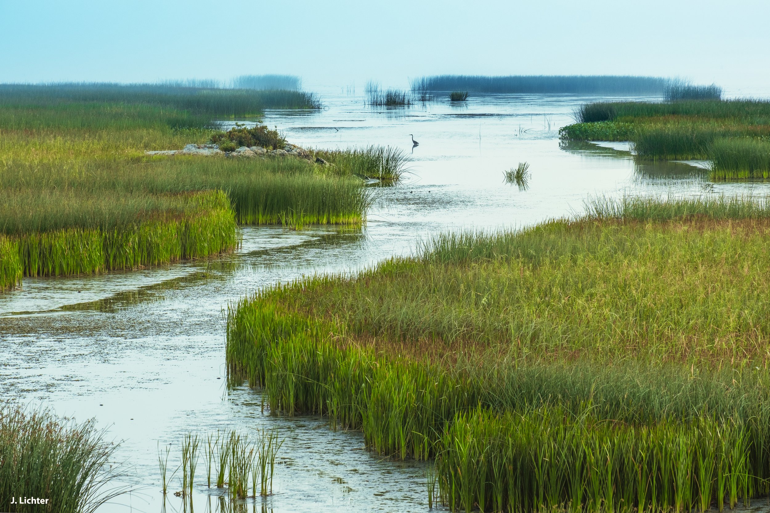 Merrymeeting Bay.  Topsham, Maine.