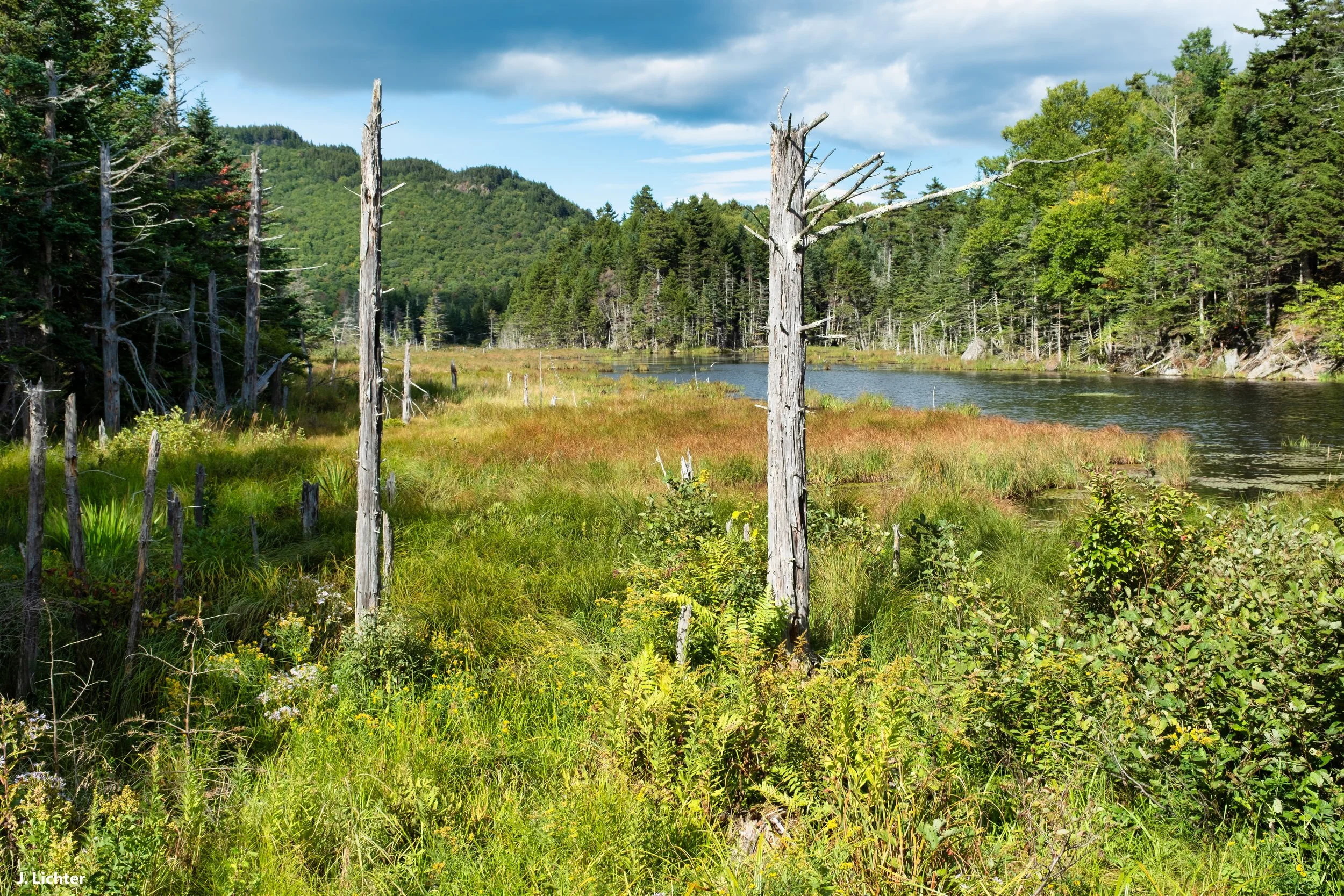 Pinkham Notch, New Hampshire. 