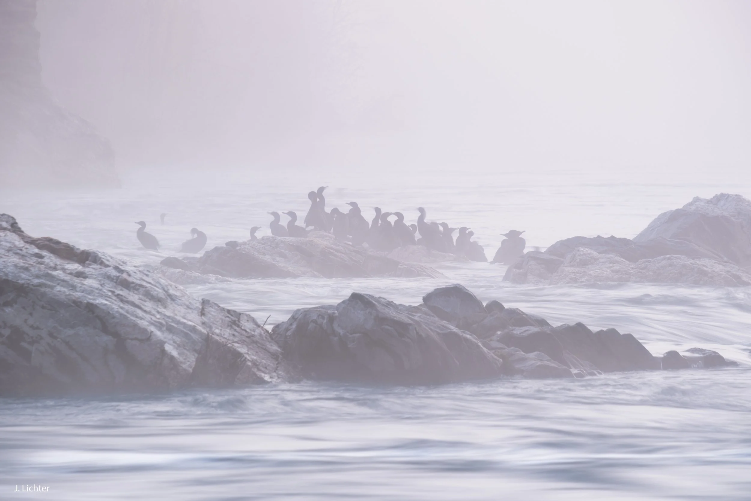 Androscoggin River at Topsham, Maine.