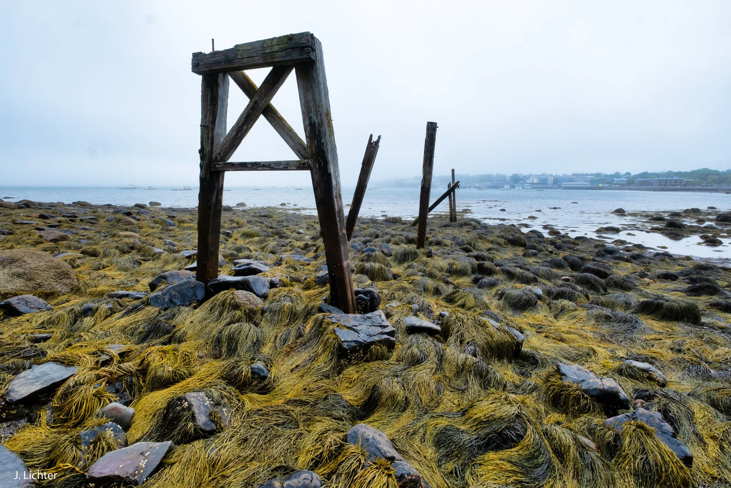 Mount Desert Island.  Maine.