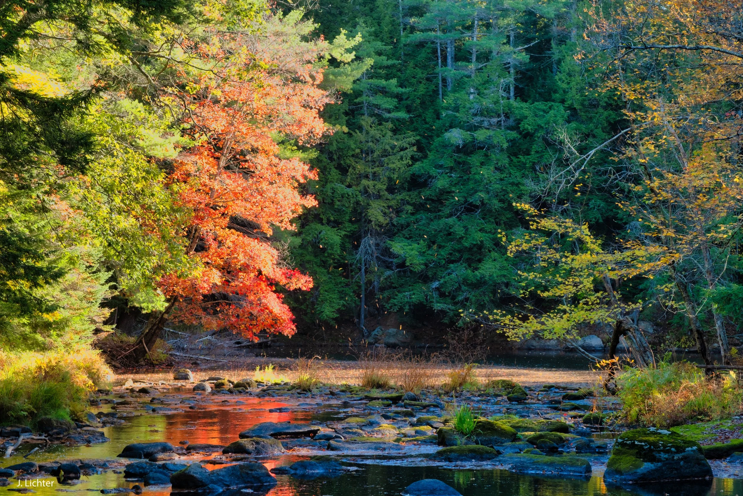 Cathance River.  Topsham, Maine.