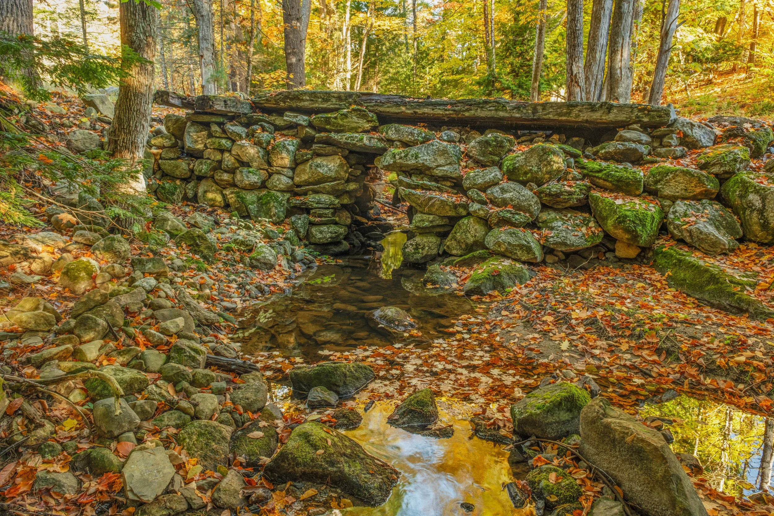 Old farm bridge.  Bowdoin, Maine.
