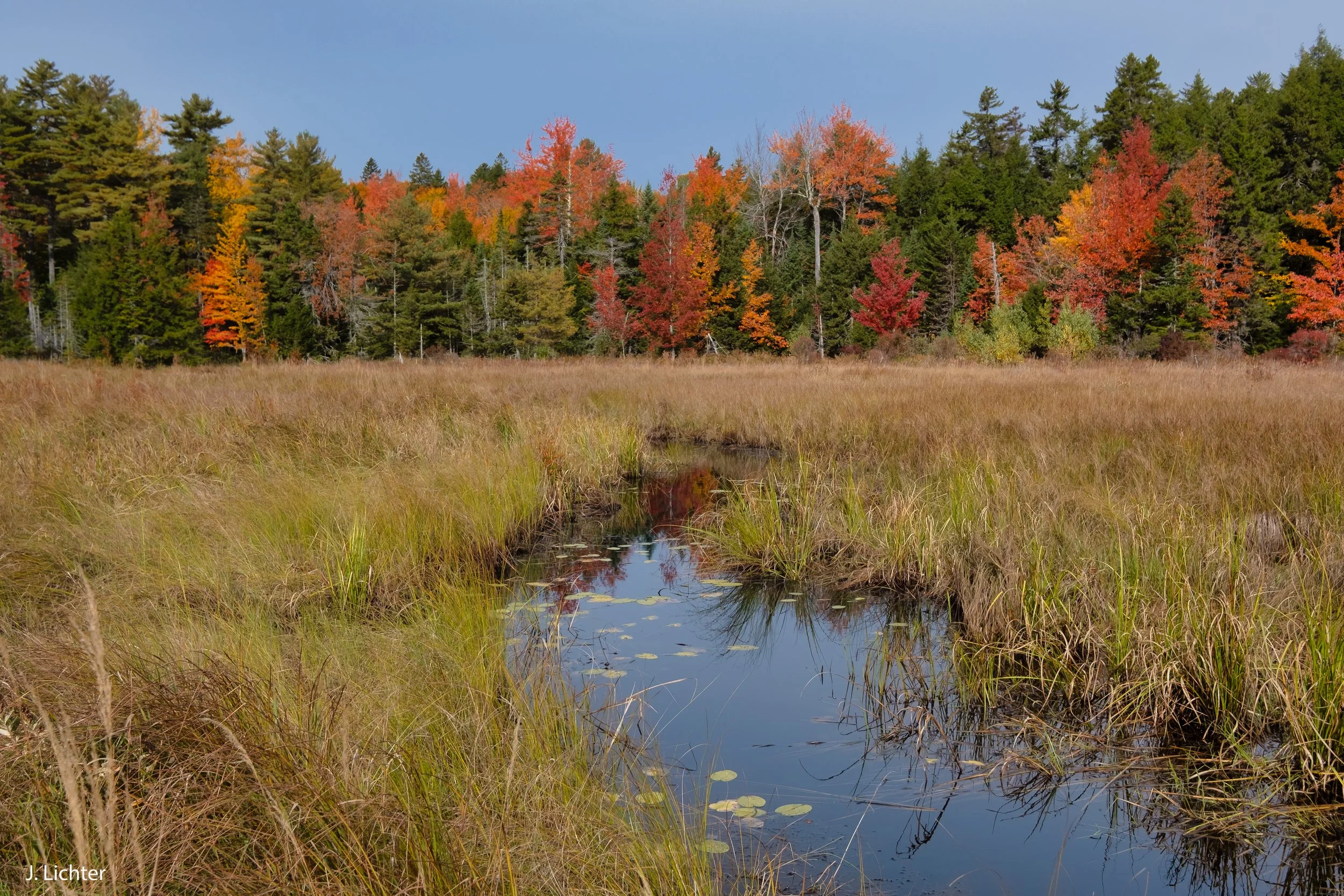 Bog Brook.  