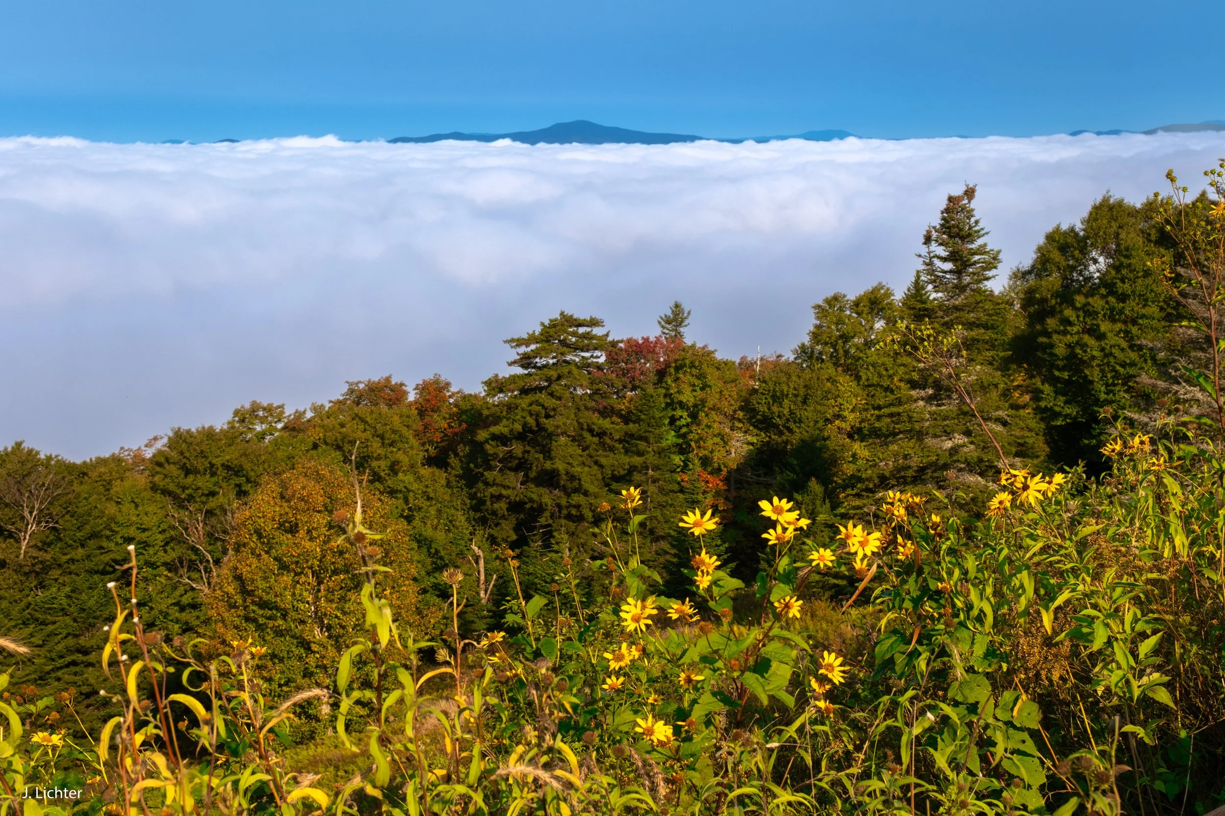Height of Land.  Rangeley, Maine.