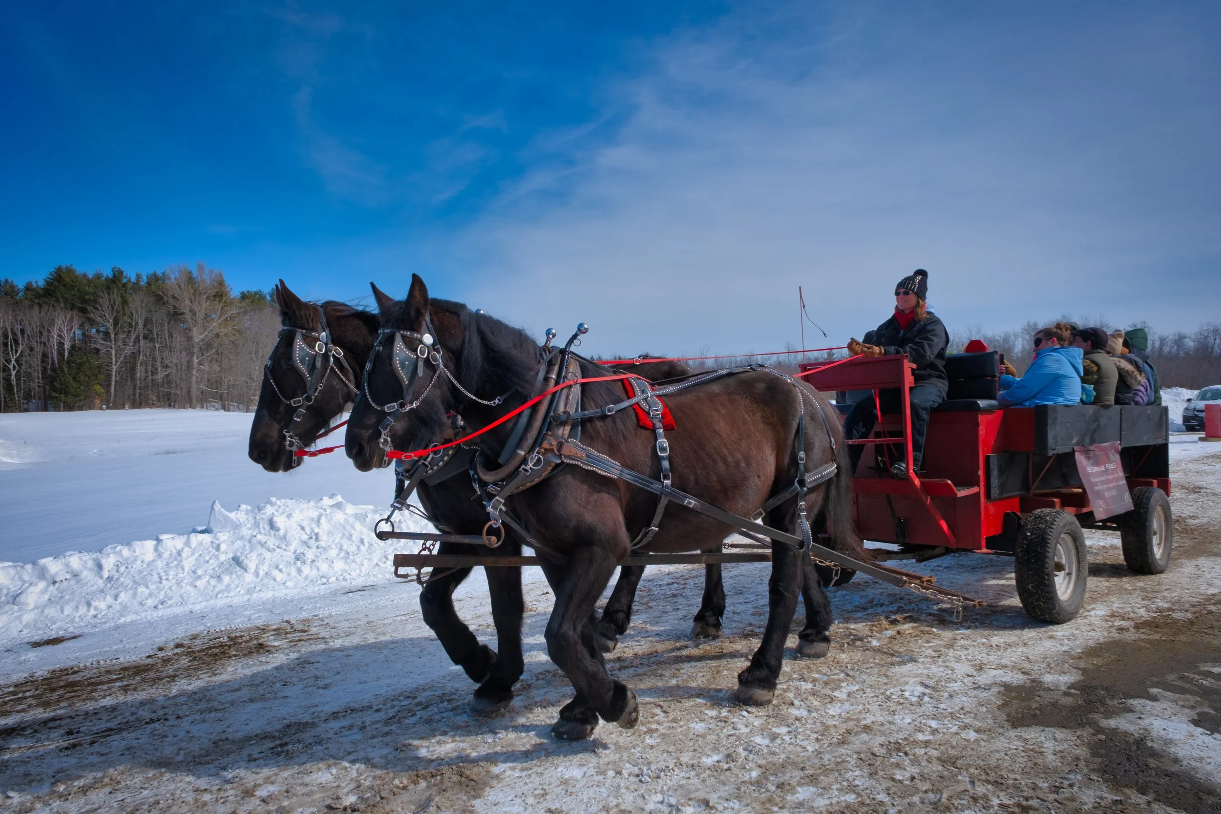 Bacon Farm.  Sidney, Maine.