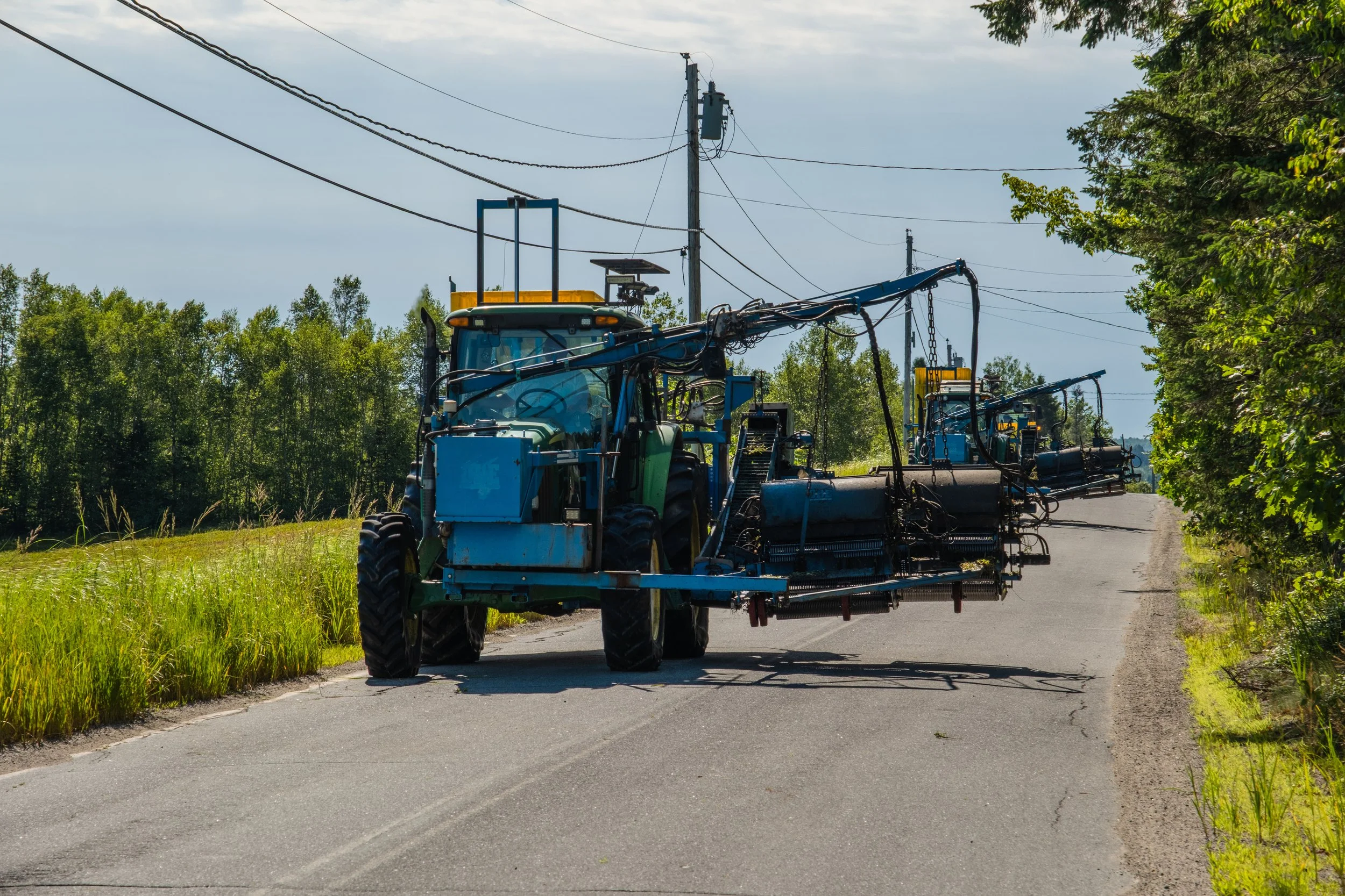 Blueberry harvesters.  Ebbing, Maine. 