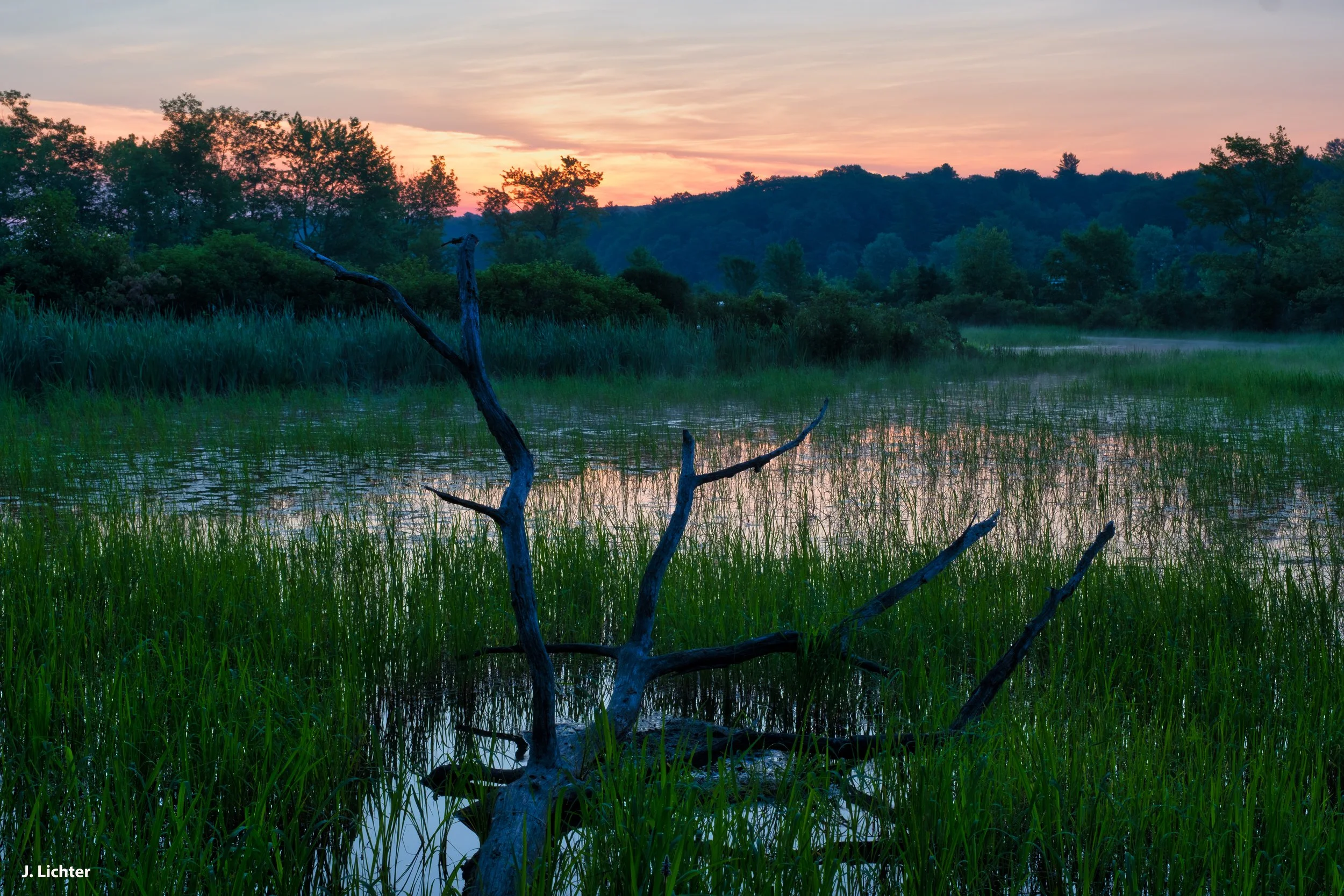 Upper Pleasant Pond.  Litchfield, Maine.