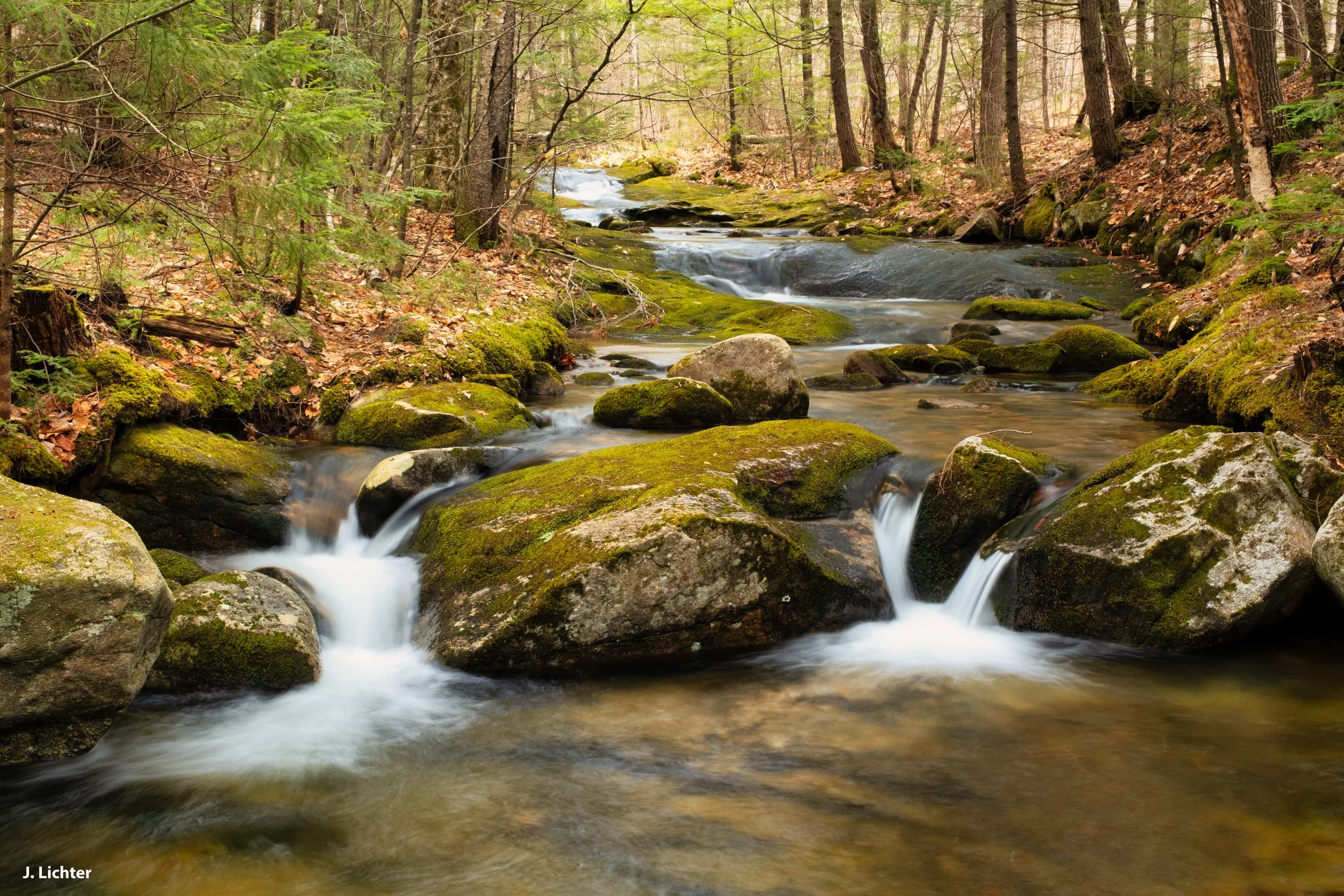 Long Mountain Trail.  South of Bethel, Maine.