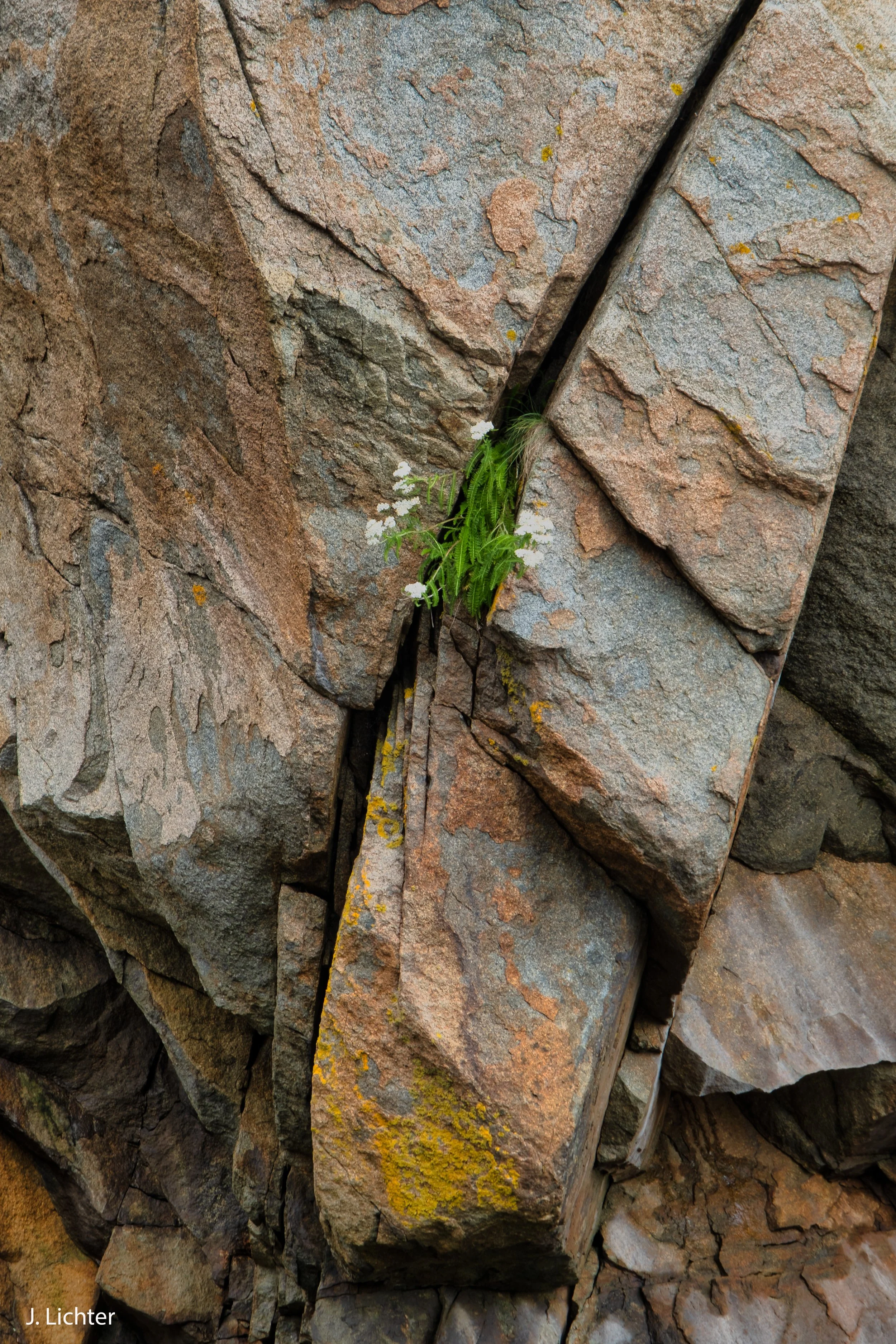 Isle au Haut.  Gulf of Maine.