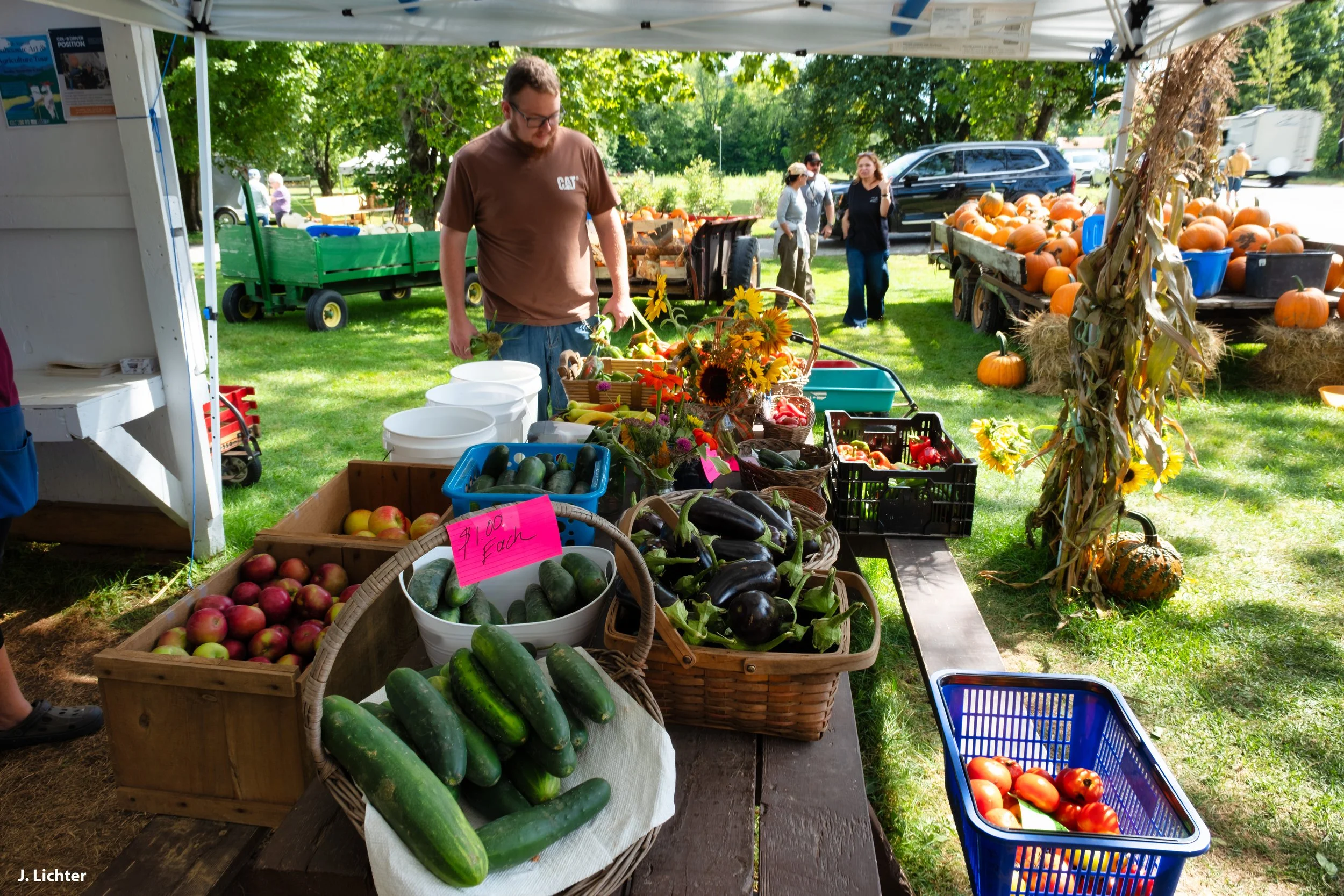 Swain Family Farm.  Bethel, Maine.