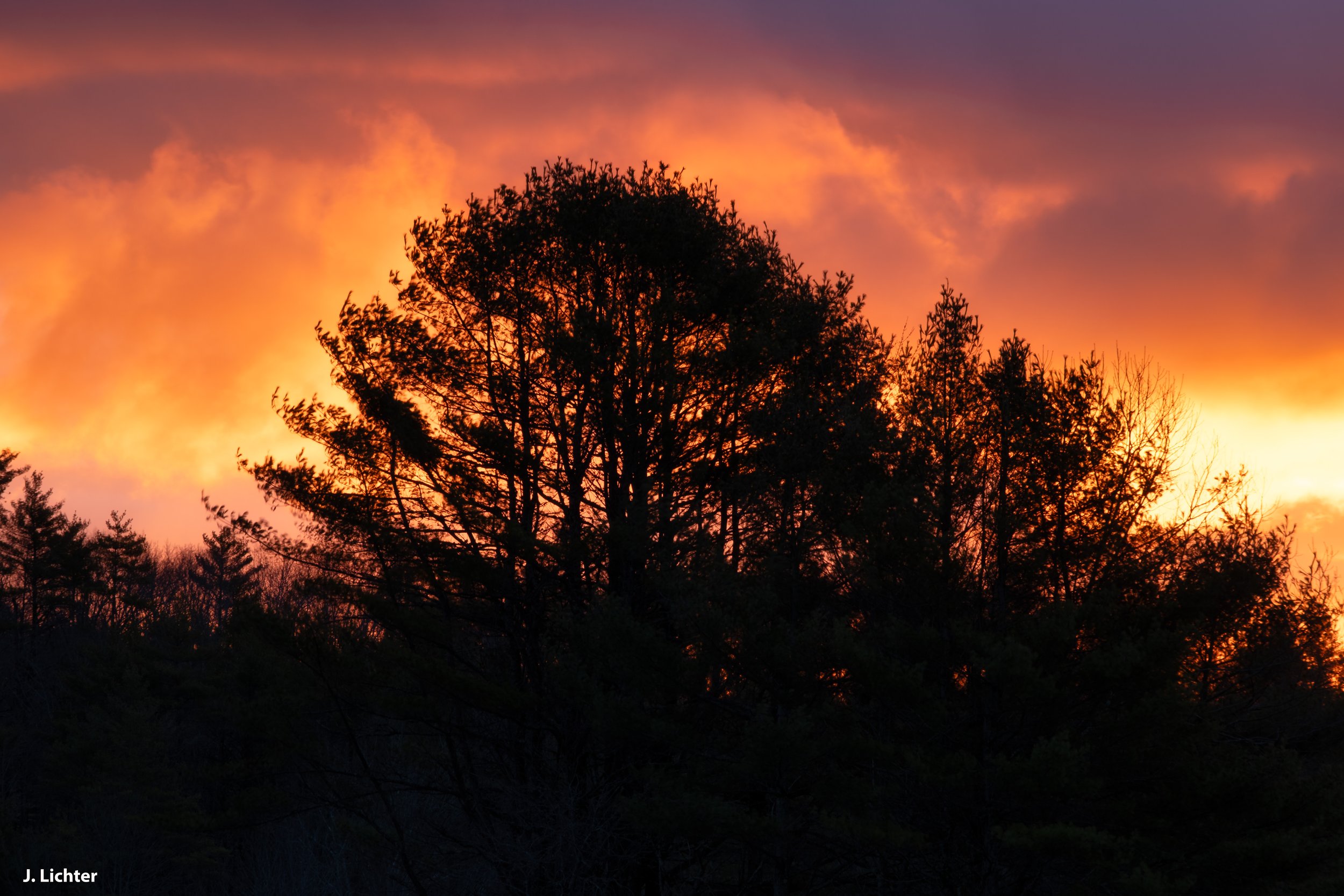 Sunrise. Bowdoin, Maine. 