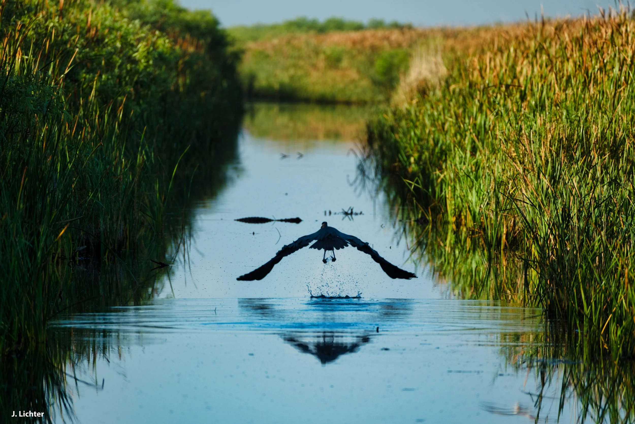 Florida 2026-105.jpg