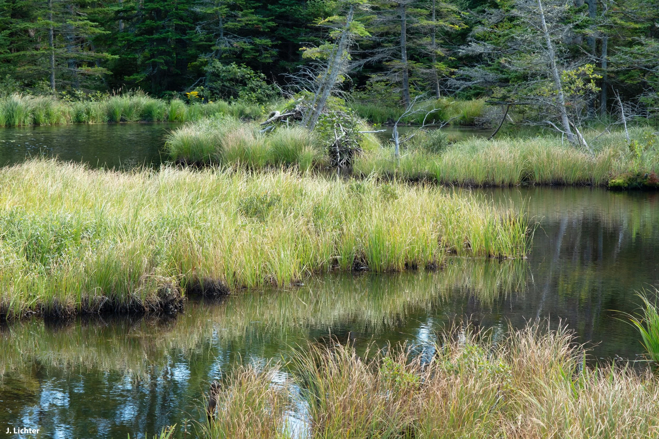 Pinkham Notch.  New Hampshire.