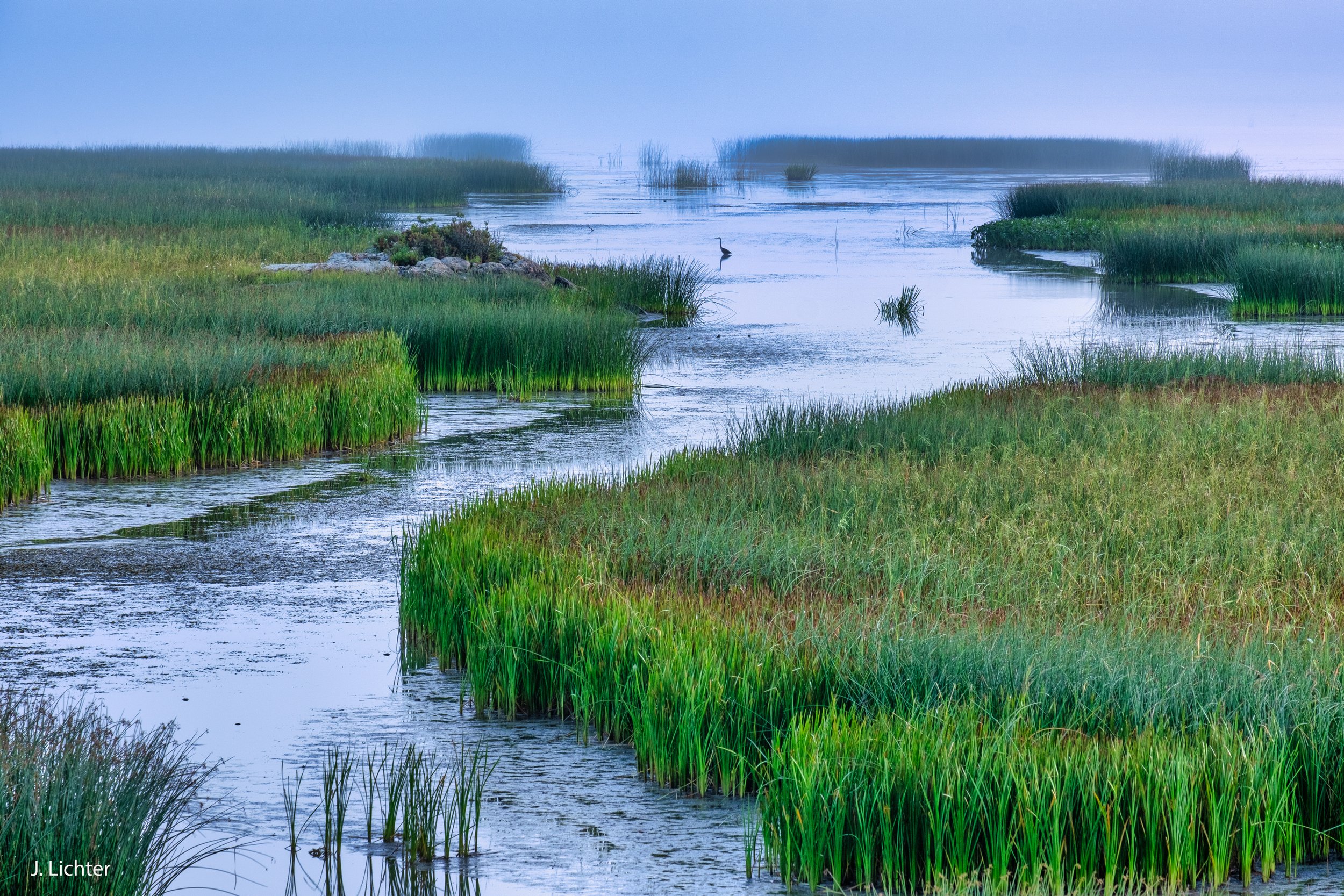 Merrymeeting Bay.  Topsham, Maine.
